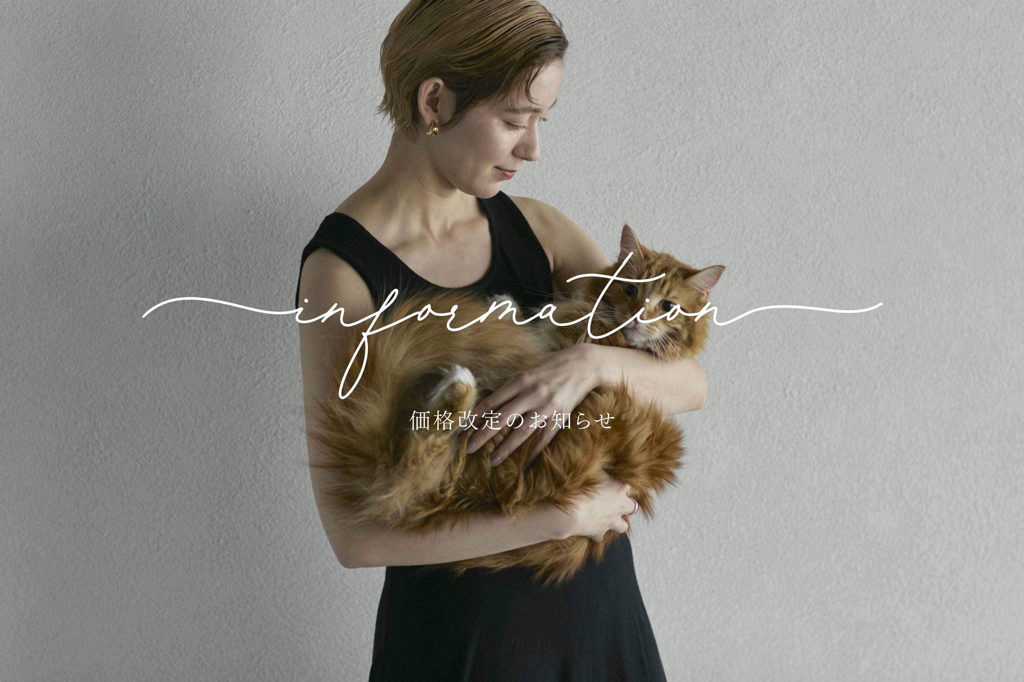 見出しC見出しC見出しC見出しC見出しC