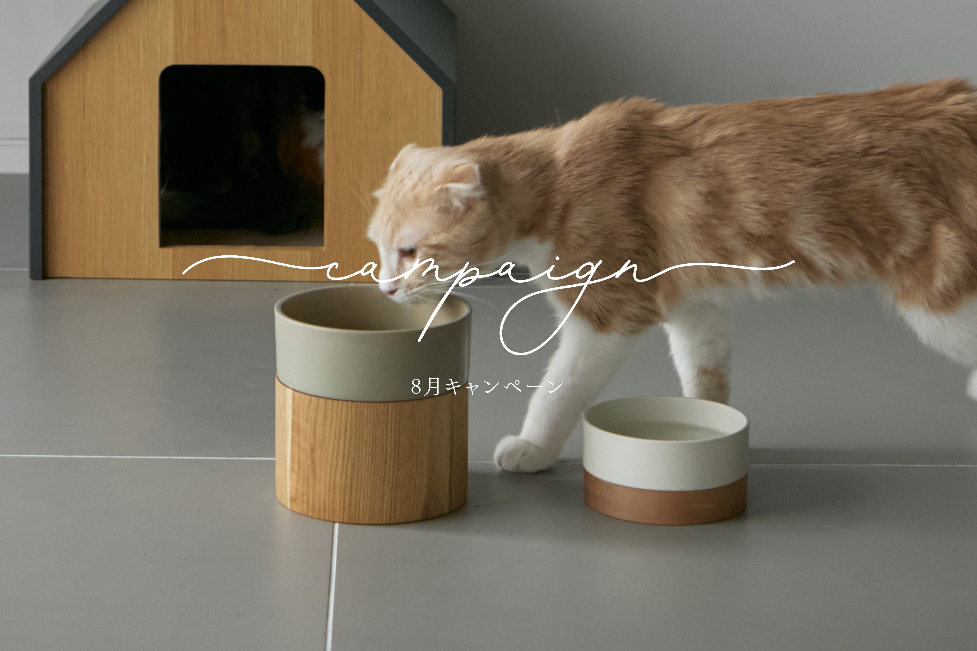 見出しC見出しC見出しC見出しC見出しC