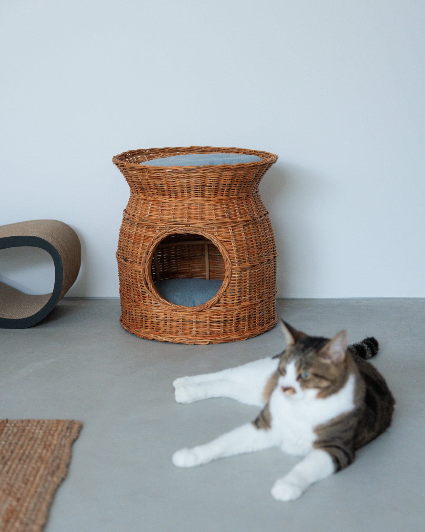 RATTAN PET HOUSE