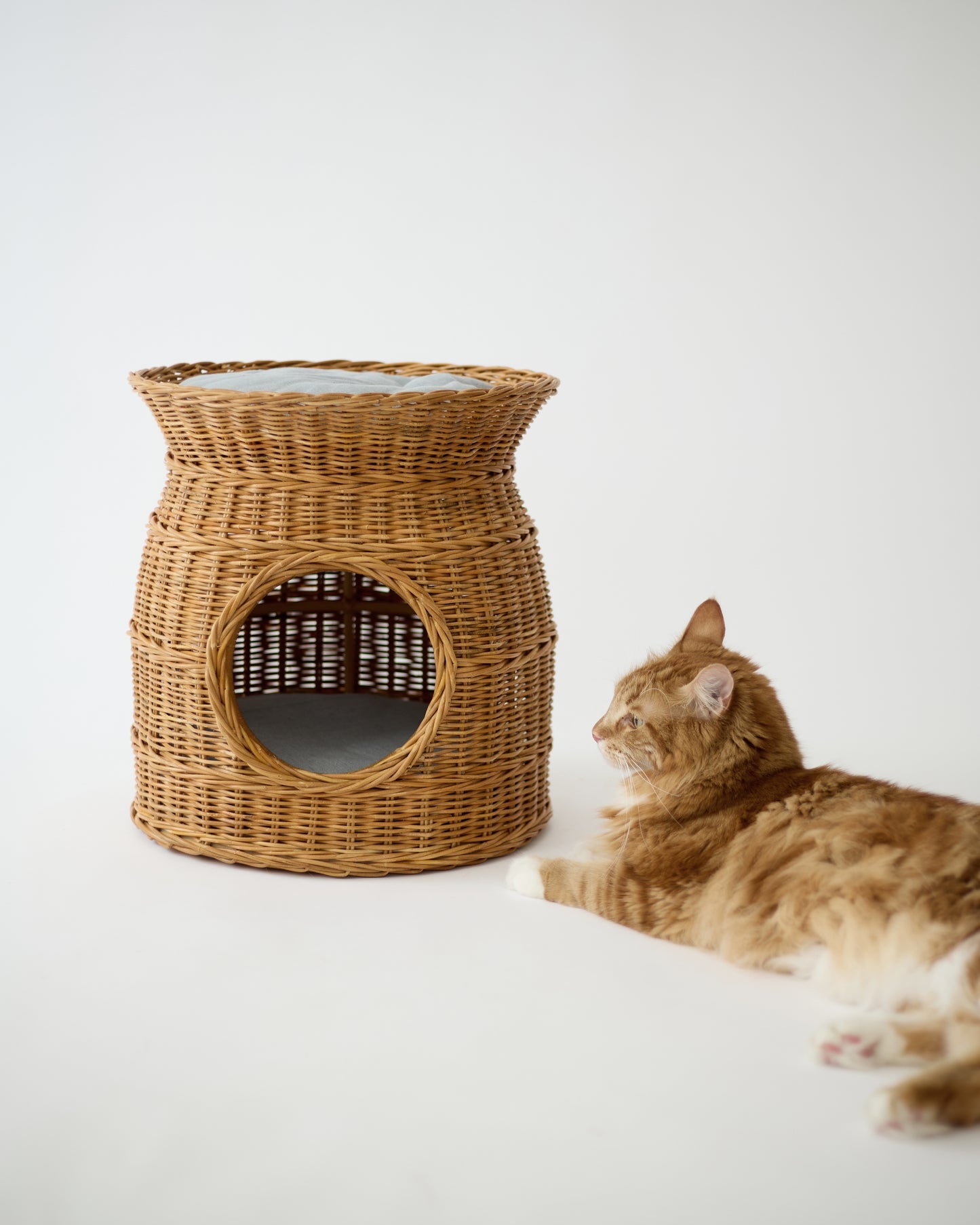 RATTAN PET HOUSE