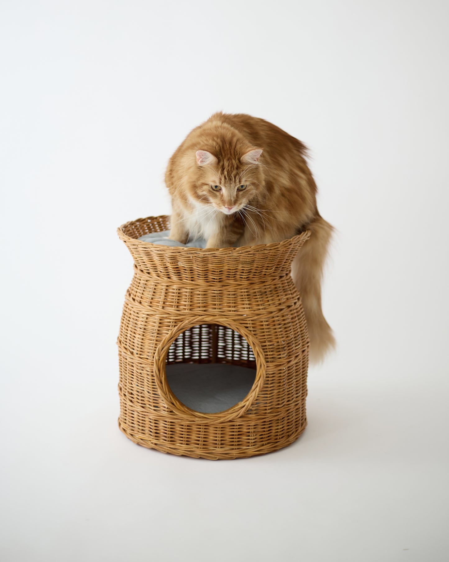 RATTAN PET HOUSE
