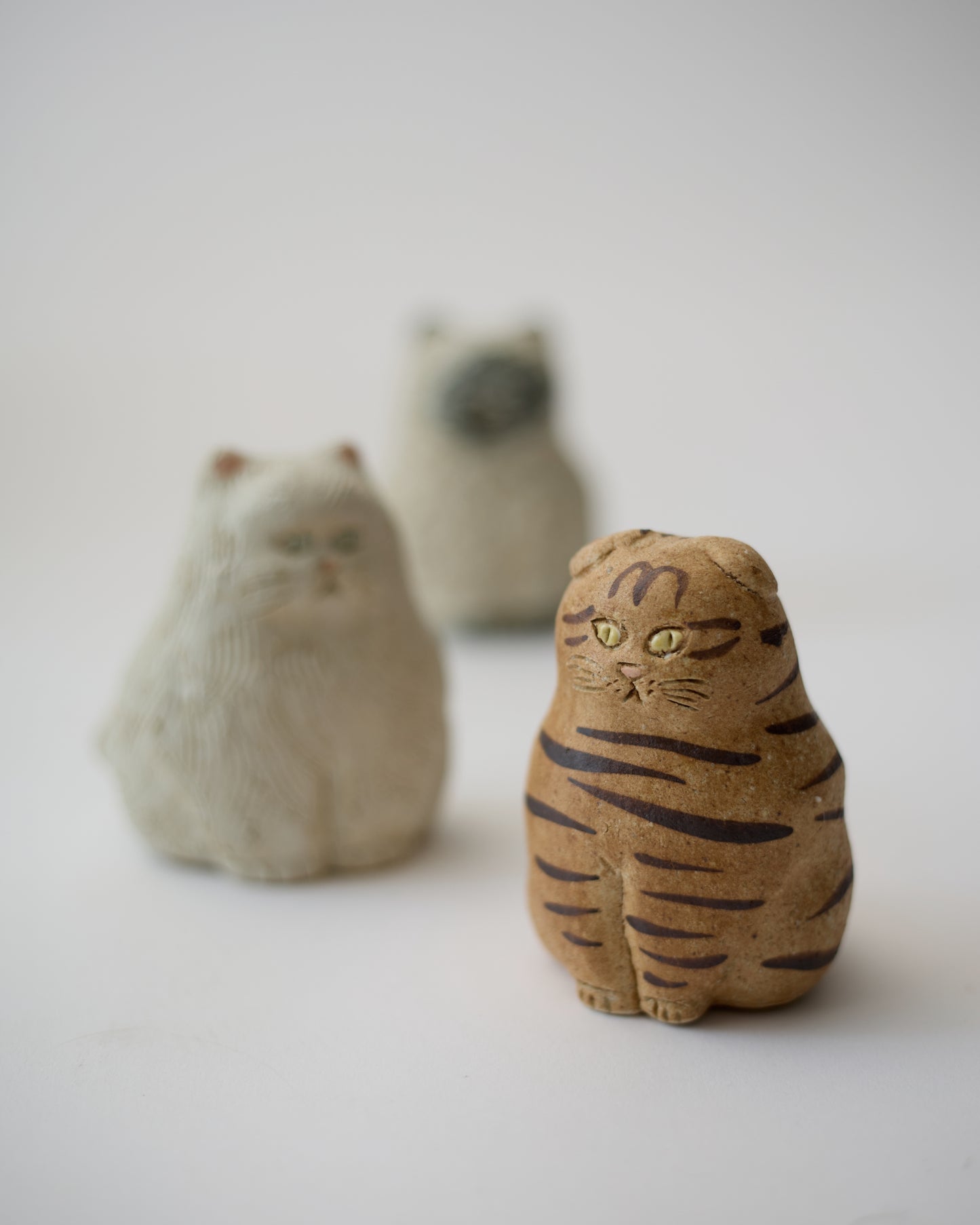 Small Animals (Large)