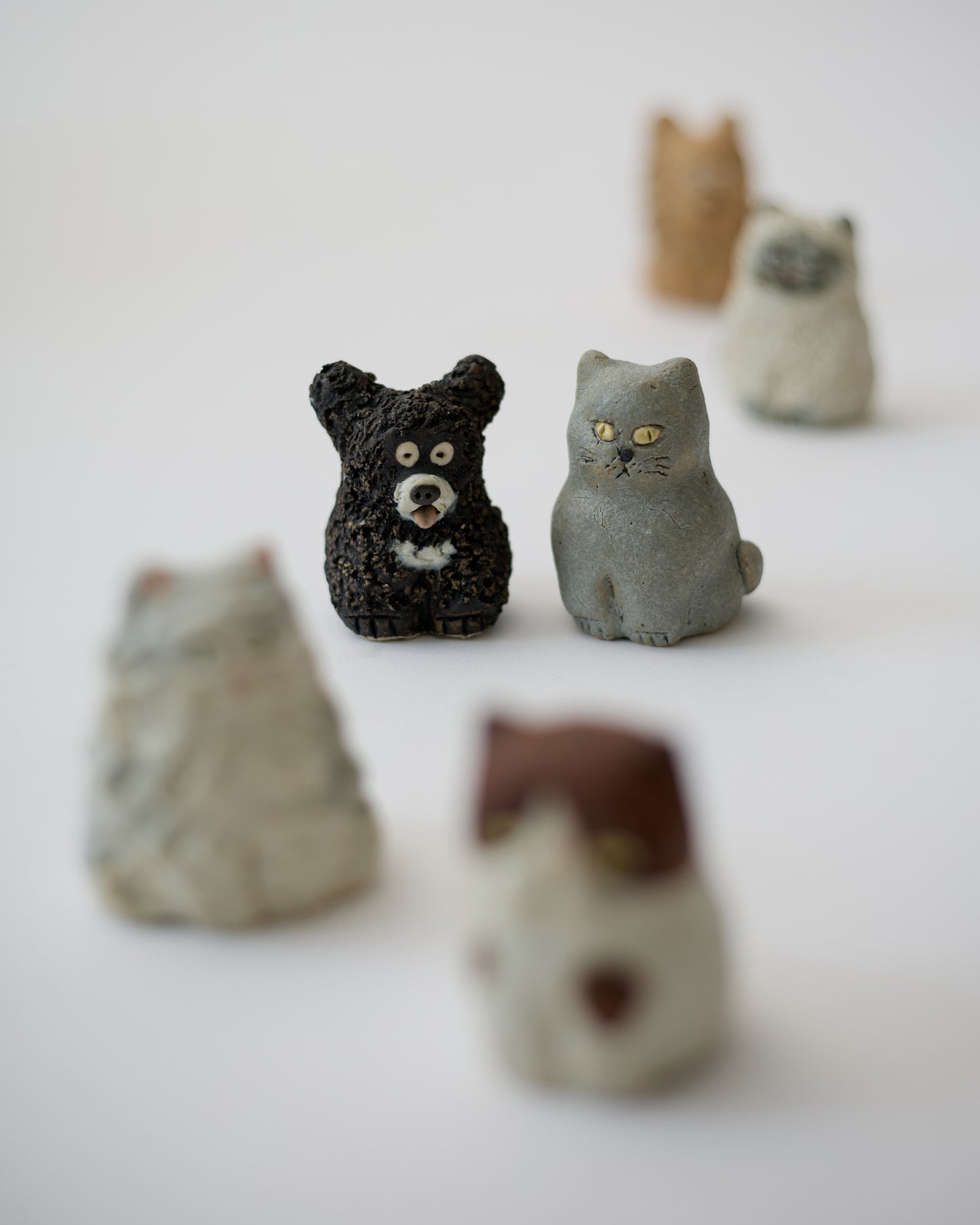 Small Animals (Small)