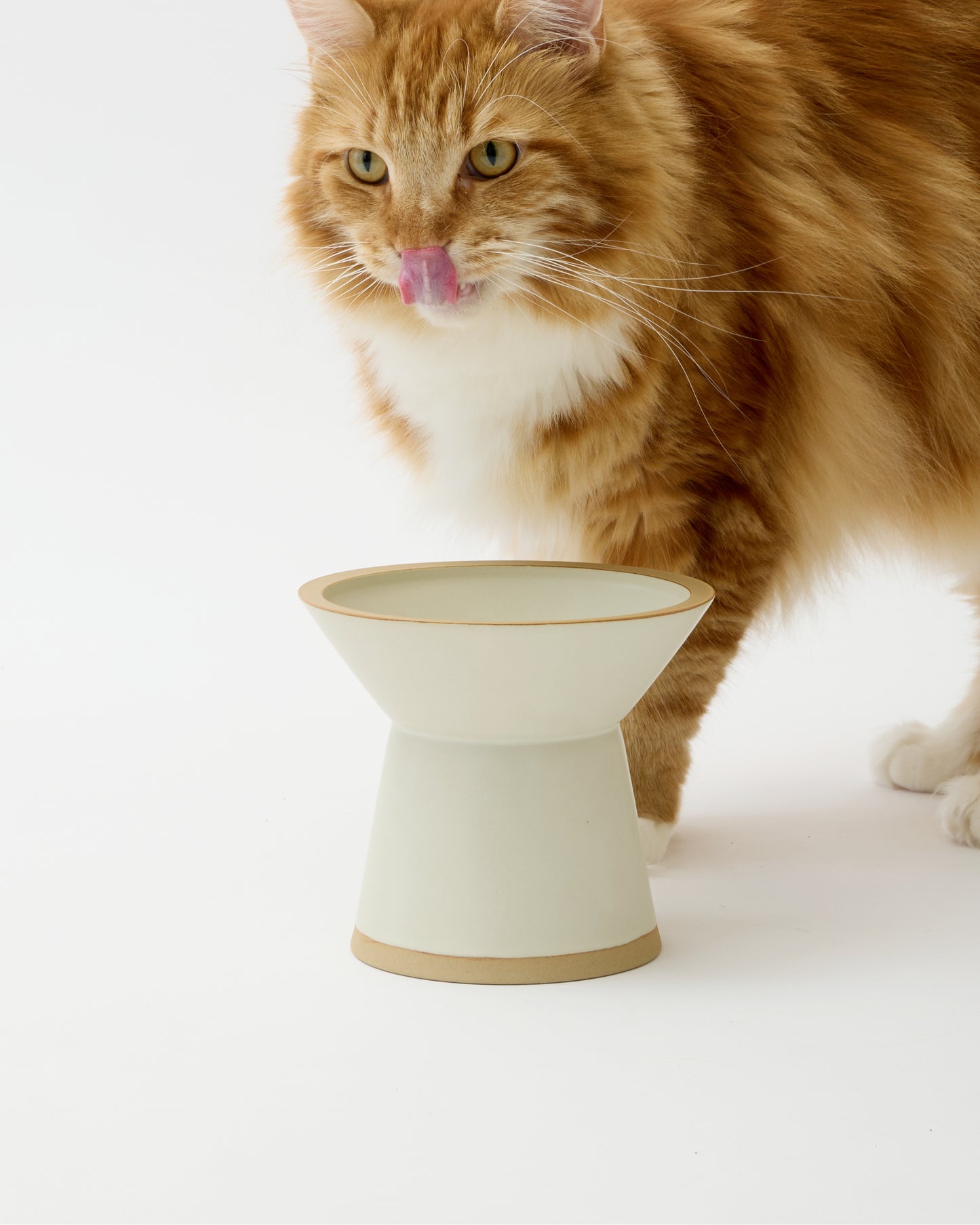 CHALICE