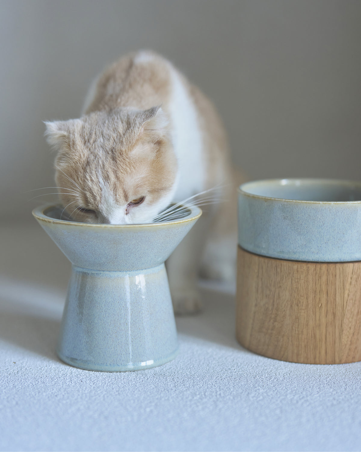 HM BOWL / 淺蔥(asagi)