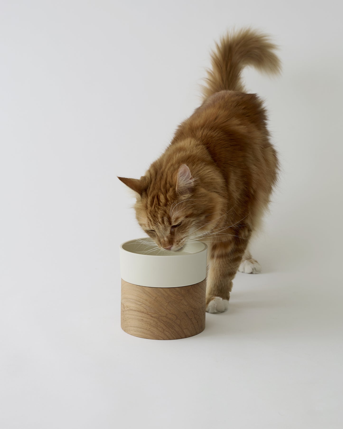LINEA / water bowl