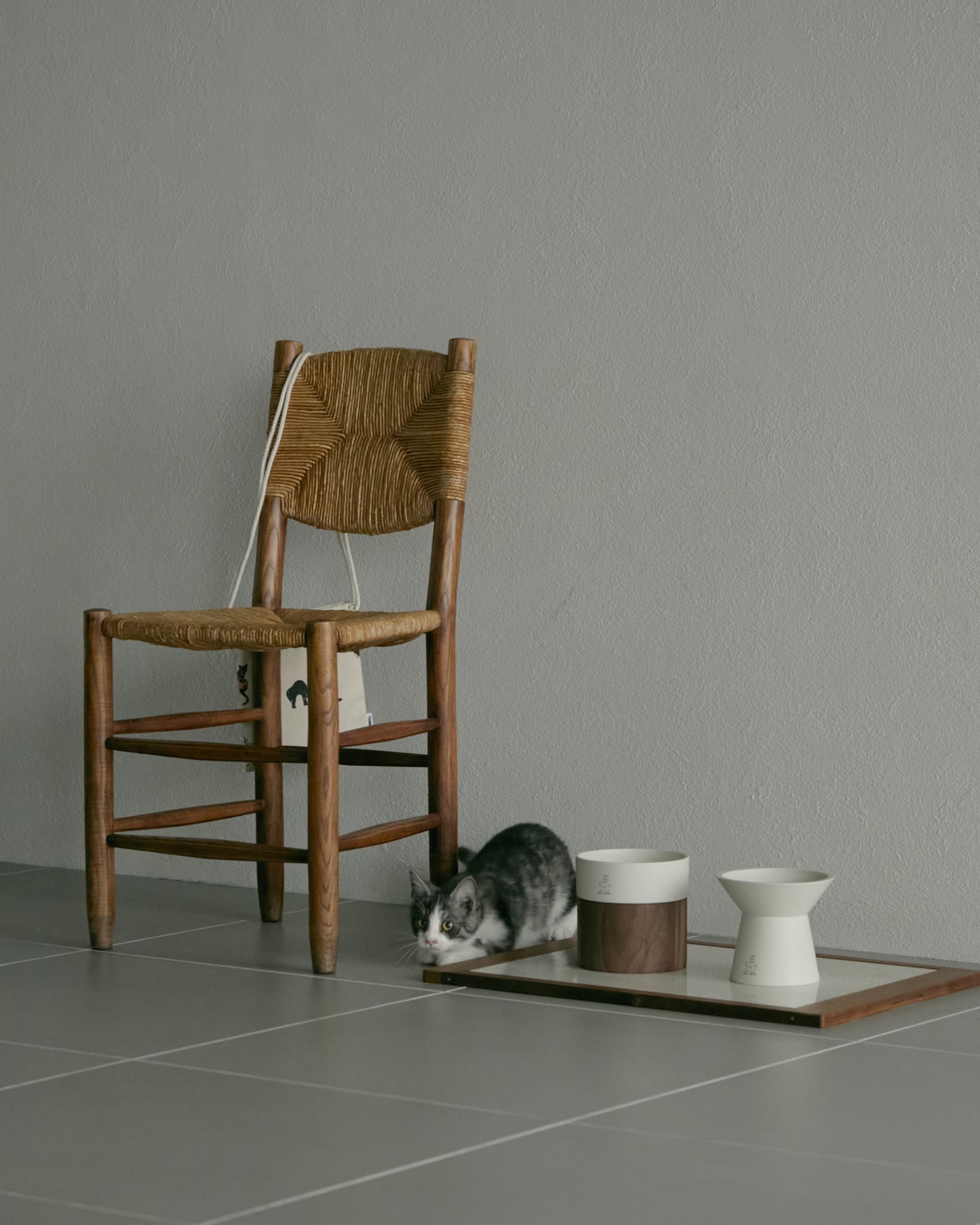 CAT! CAT! CAT! / Food & Water Bowl Set