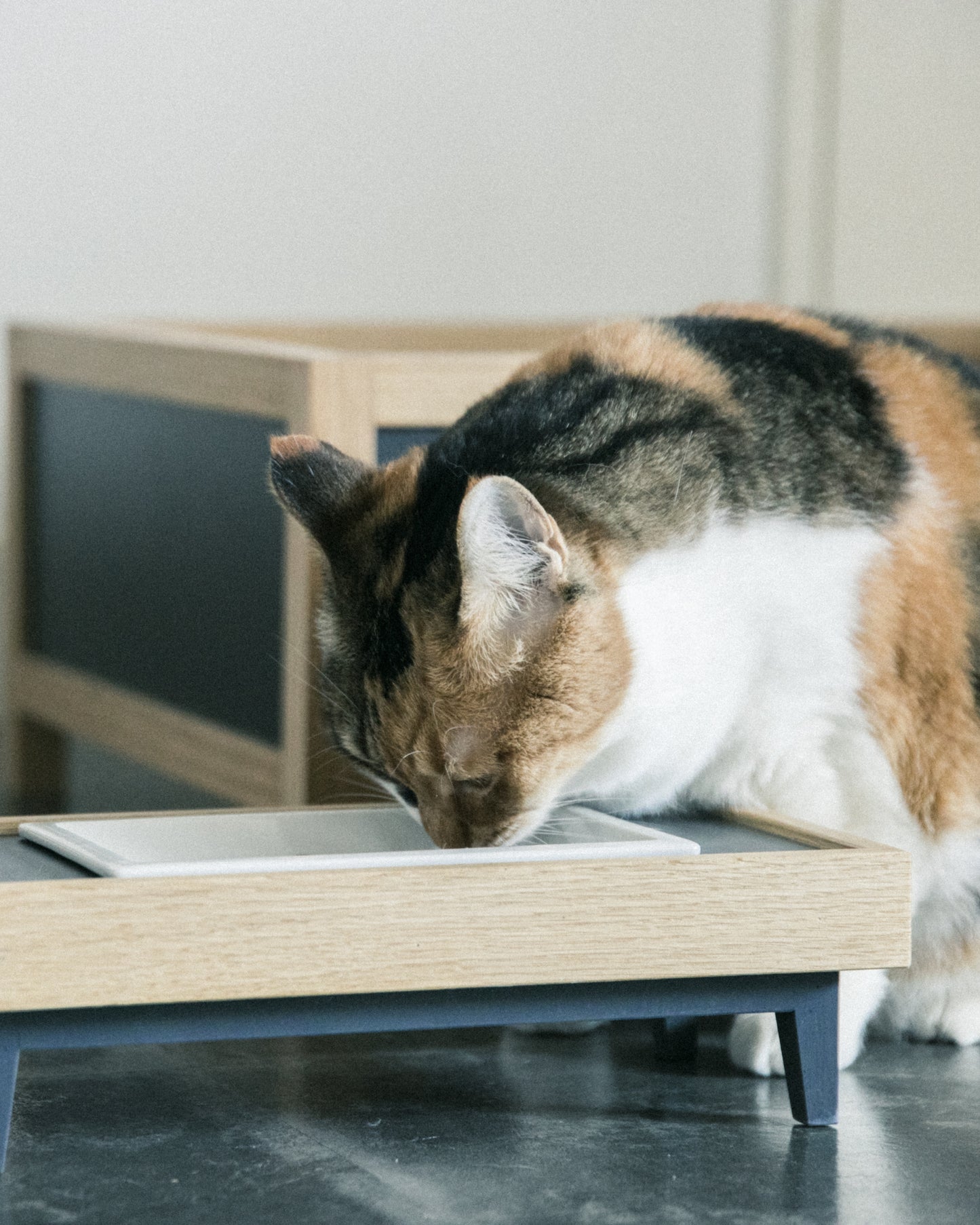 TONOA / pet feeder