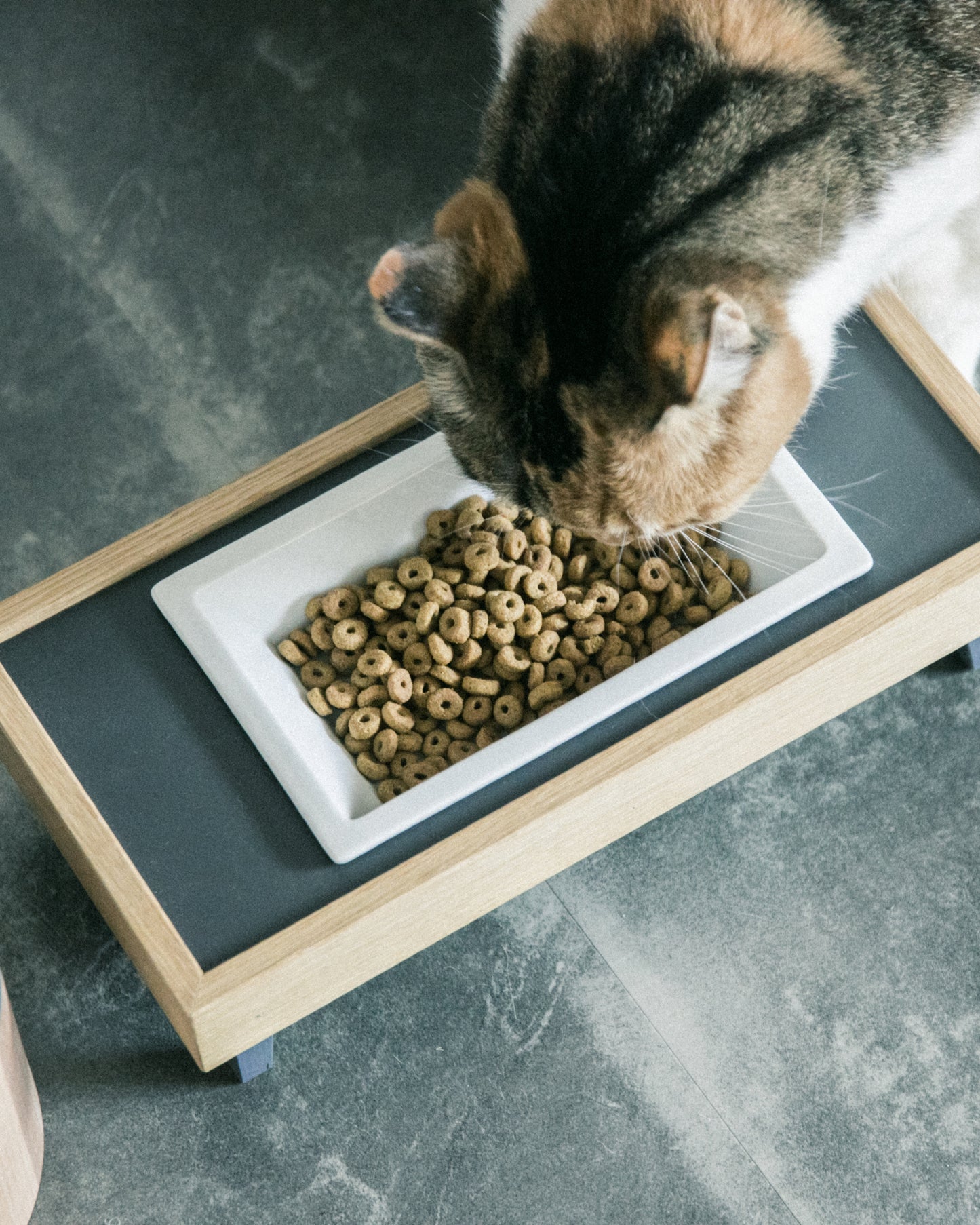 TONOA / pet feeder