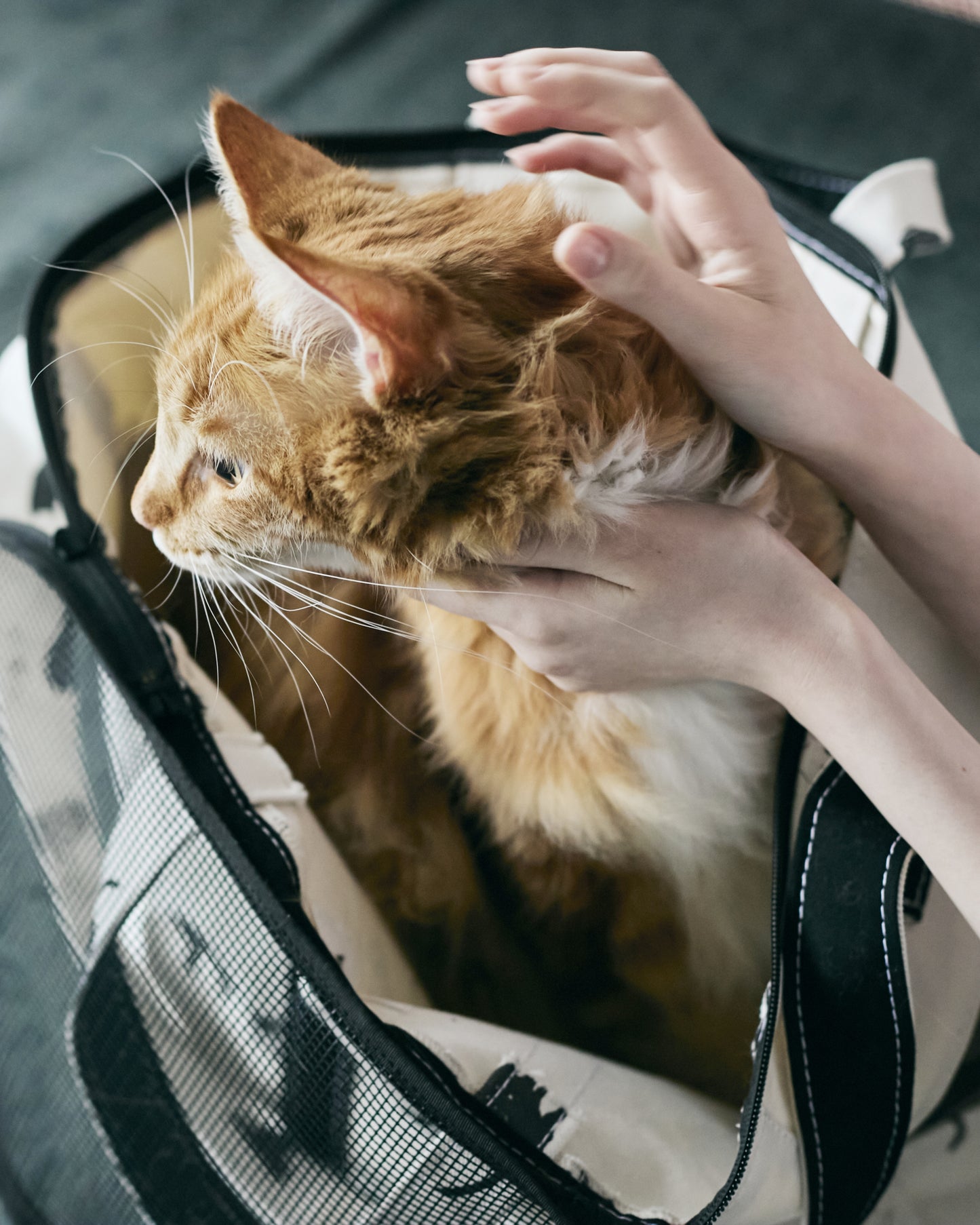 CARRY TOTE BAG