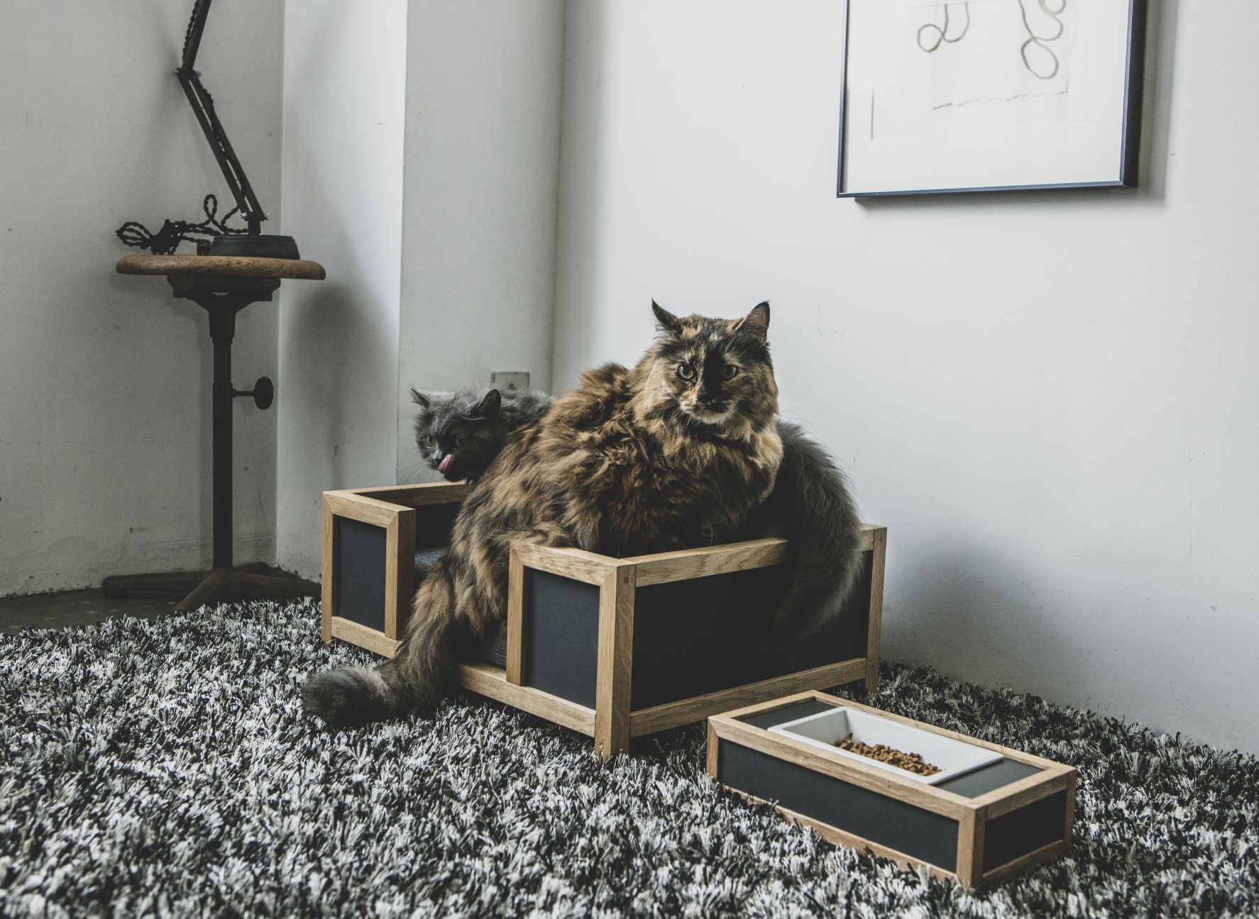 GOTHAM / pet bed