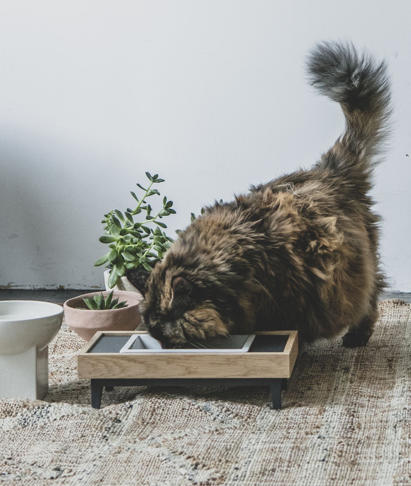 MALTA / pet feeder