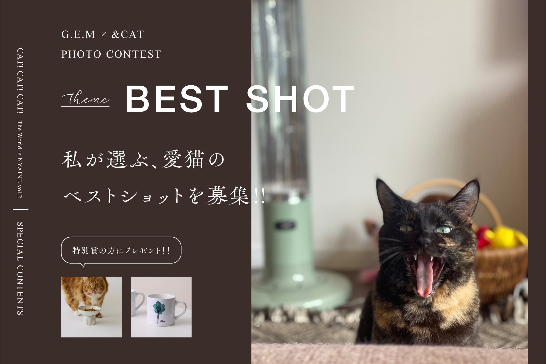 私が選ぶ、この子の一枚。 G.E.M × &CAT フォトコンテスト「BEST SHOT」開催