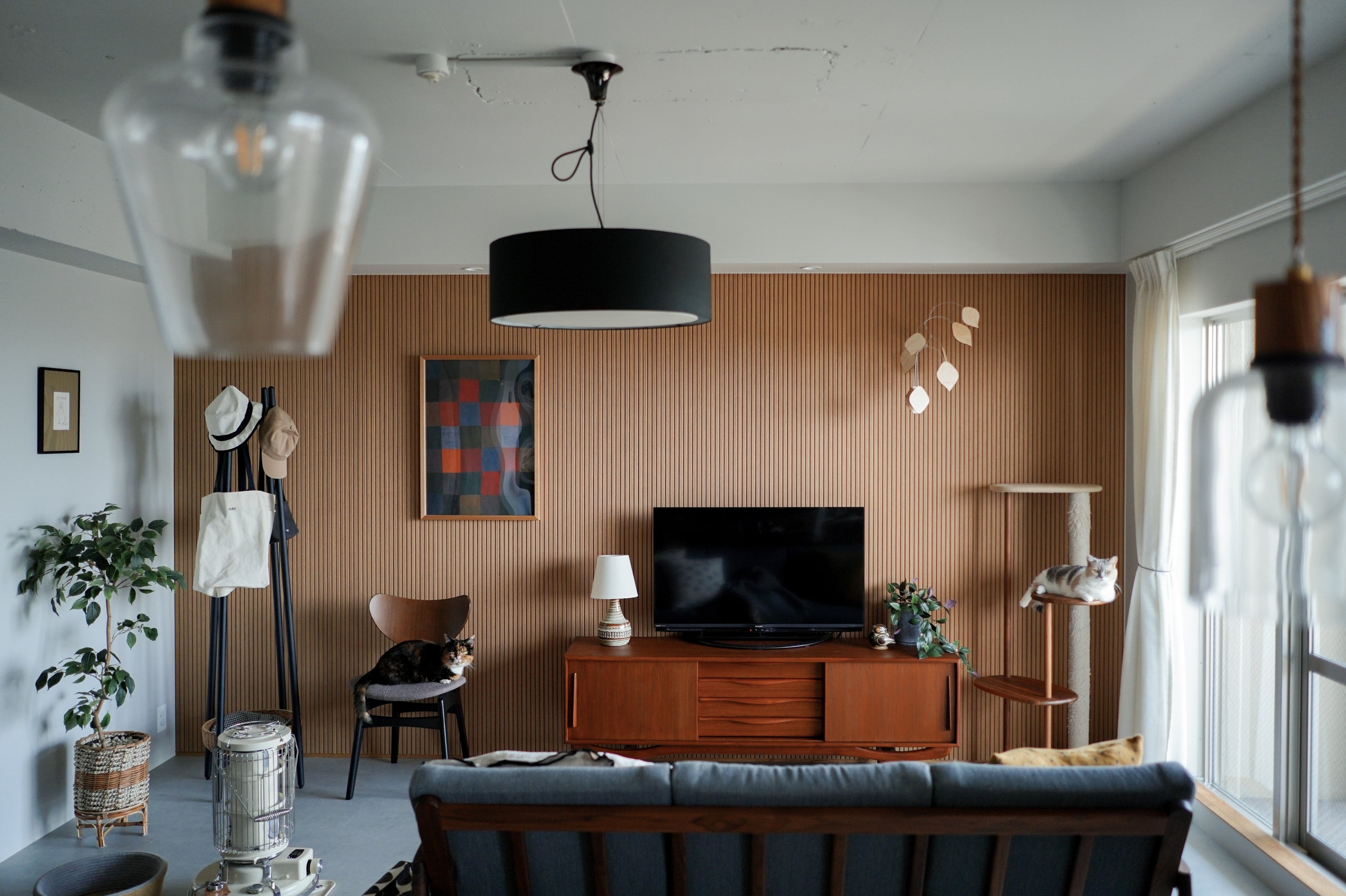 My Cat, My Home #07 | ちくわとおこげと、ゆっくり流れる日々。