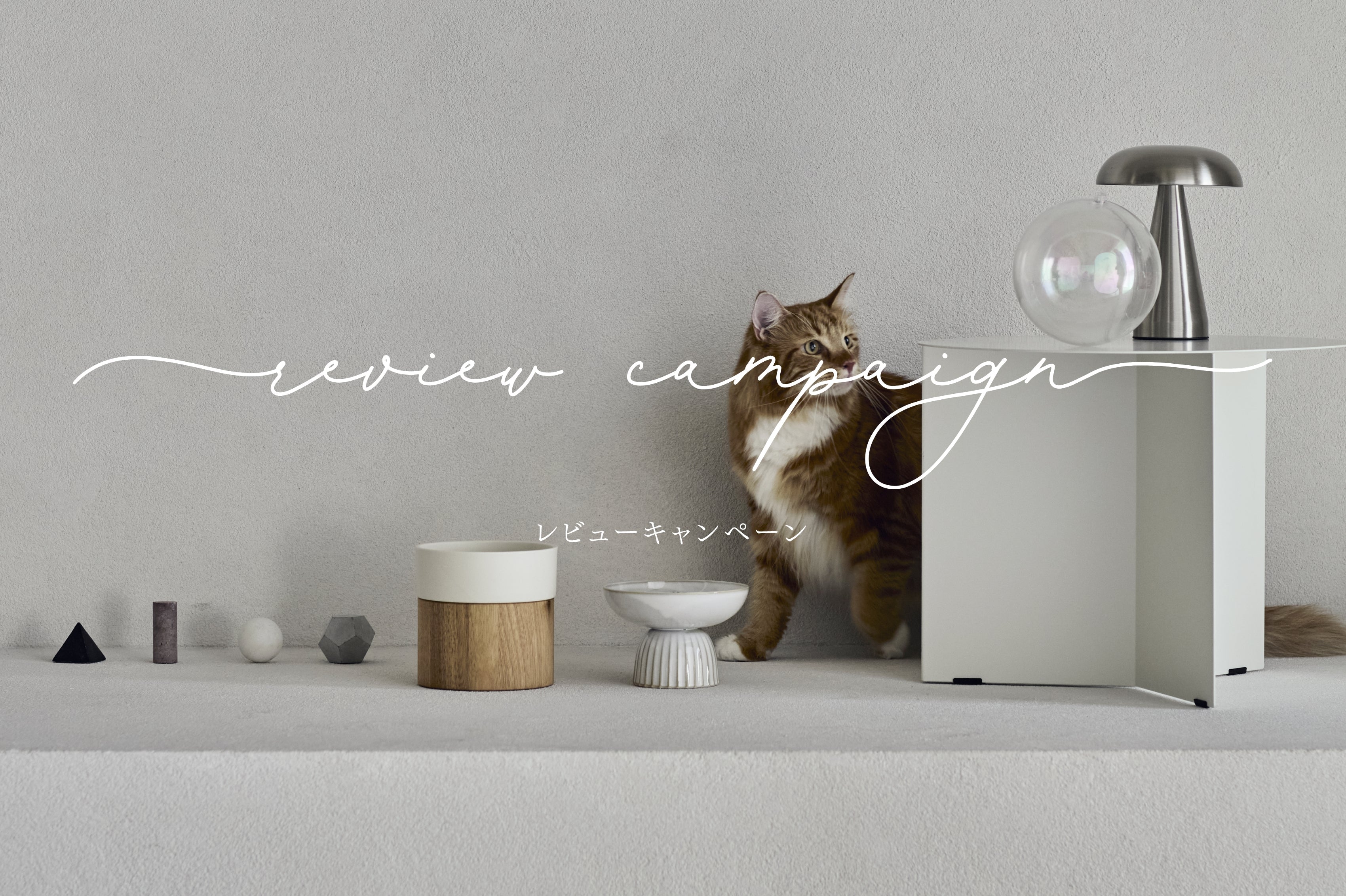 レビュー投稿で「15%OFFクーポン」プレゼントキャンペーン