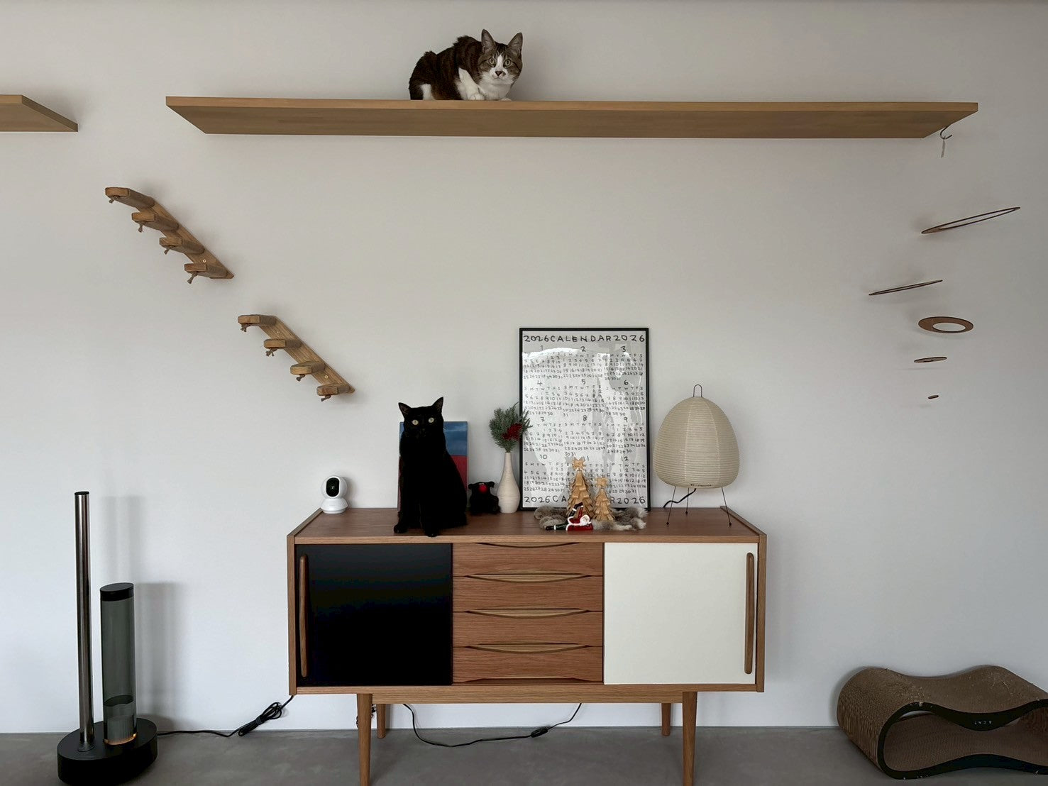 猫と暮らしの小さな学びと、ときどき雑記。 &CATスタッフMAIの暮らし手帖｜vol.03