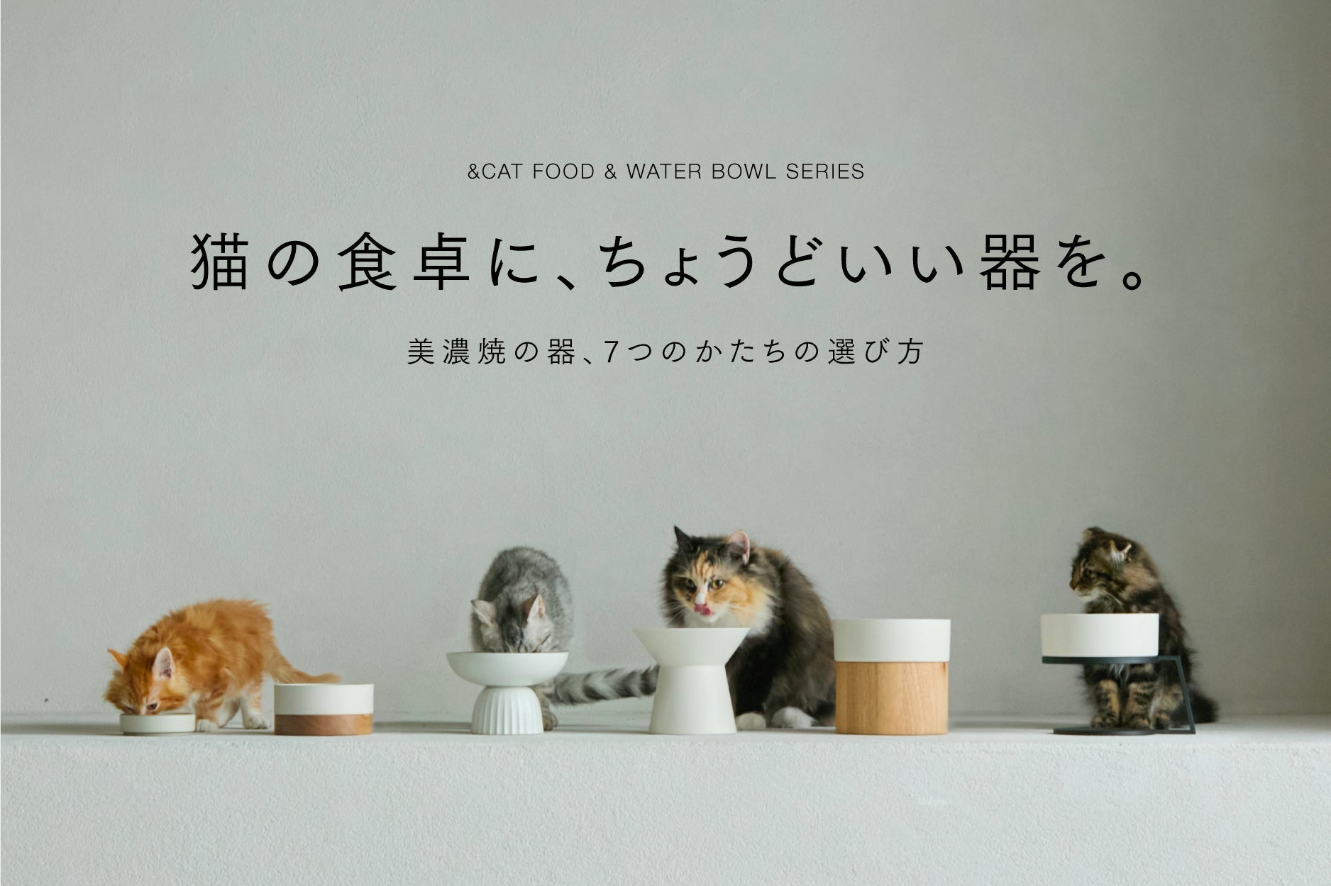 猫の年齢・体格で選ぶ、器の選び方