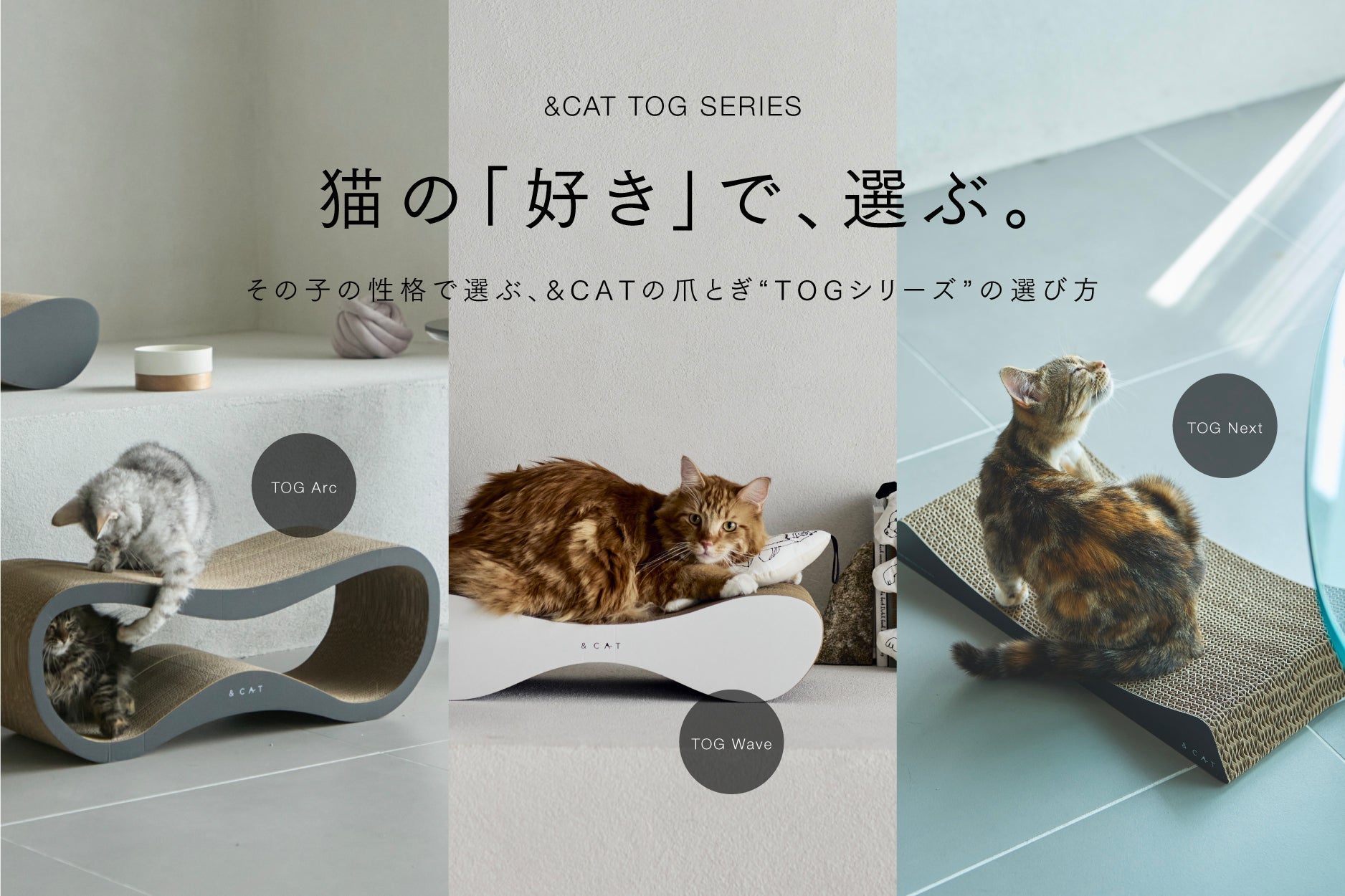 猫の性格で選ぶ、TOGシリーズ爪とぎの選び方