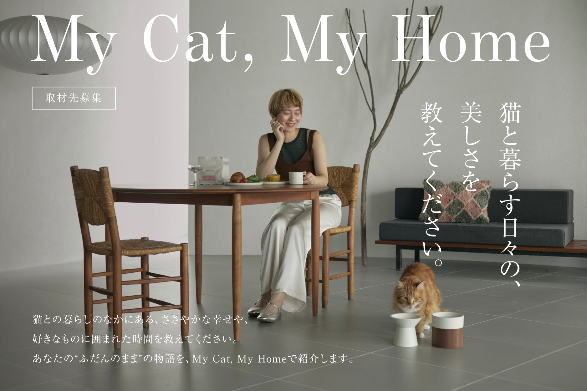 My Cat, My Home｜取材先募集のお知らせ