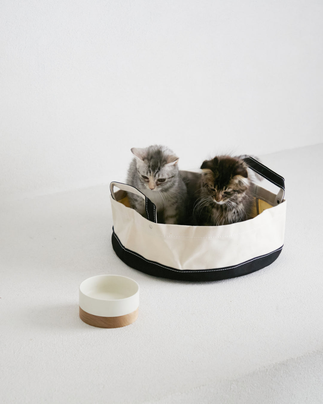 猫 ベッド
