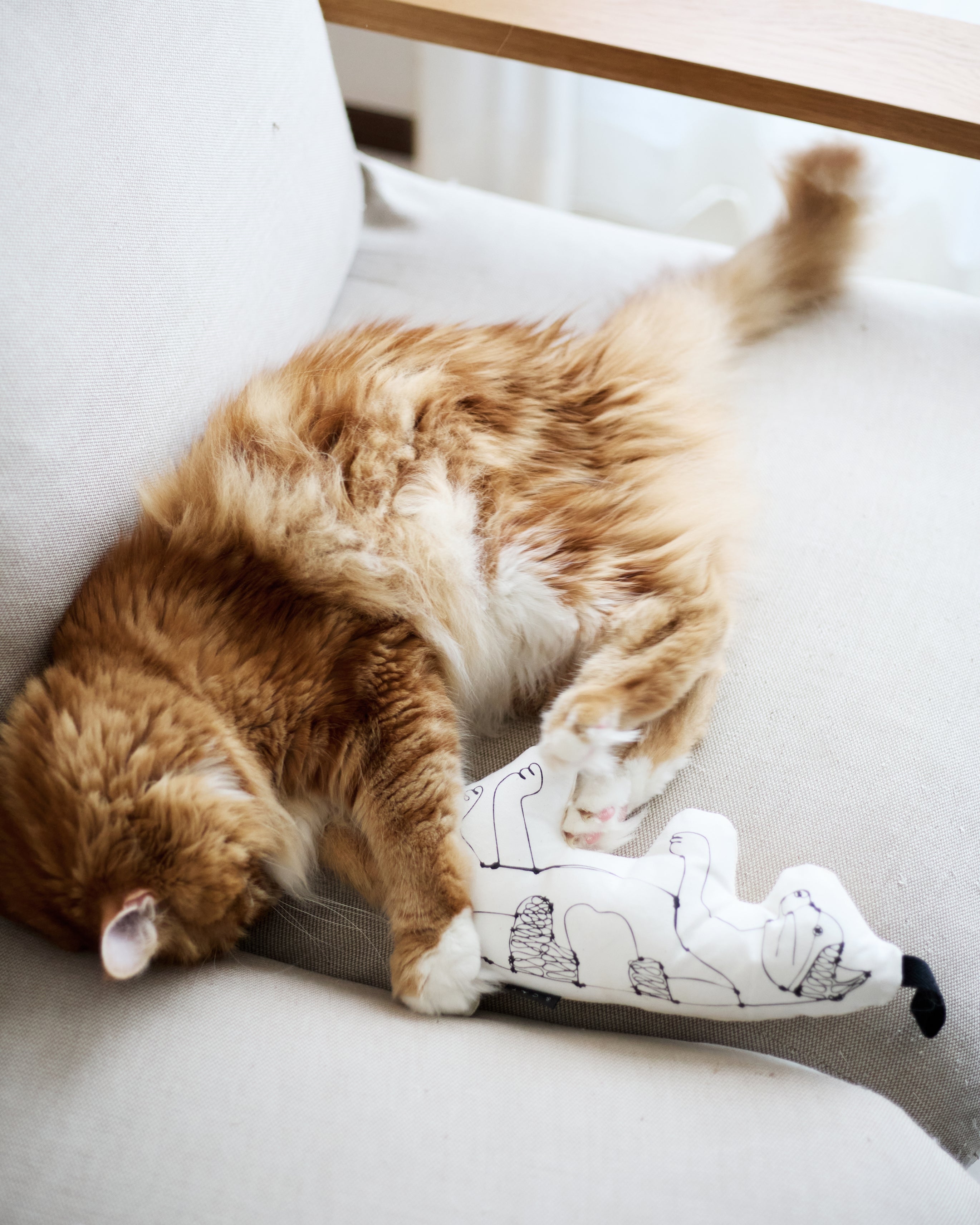 HAyU ワイヤーオブジェ ネコ　アクリルケース付き HAyU × &CAT 猫とアートが遊ぶケリケリ「KERI KERI」日本製おもちゃ