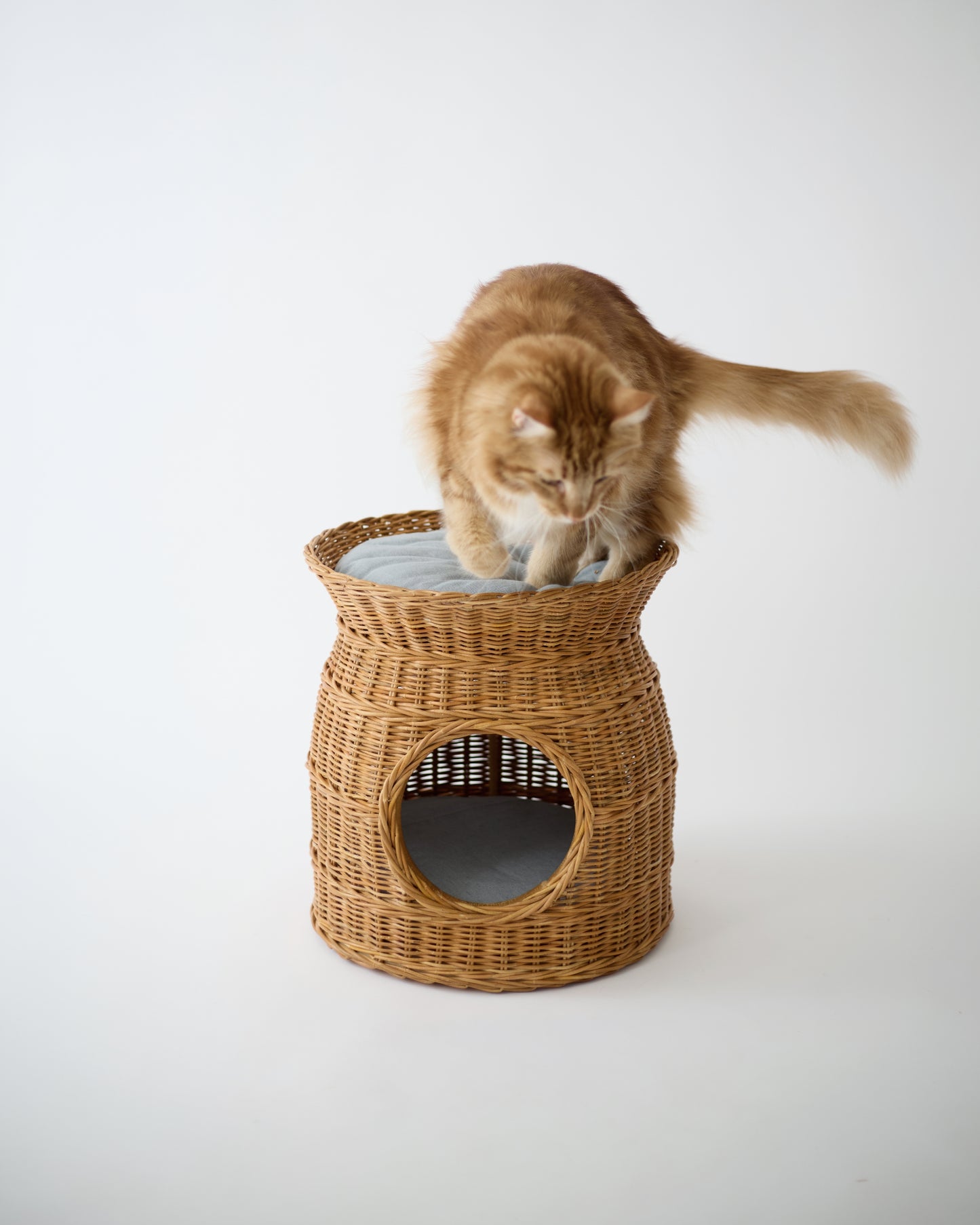 RATTAN PET HOUSE