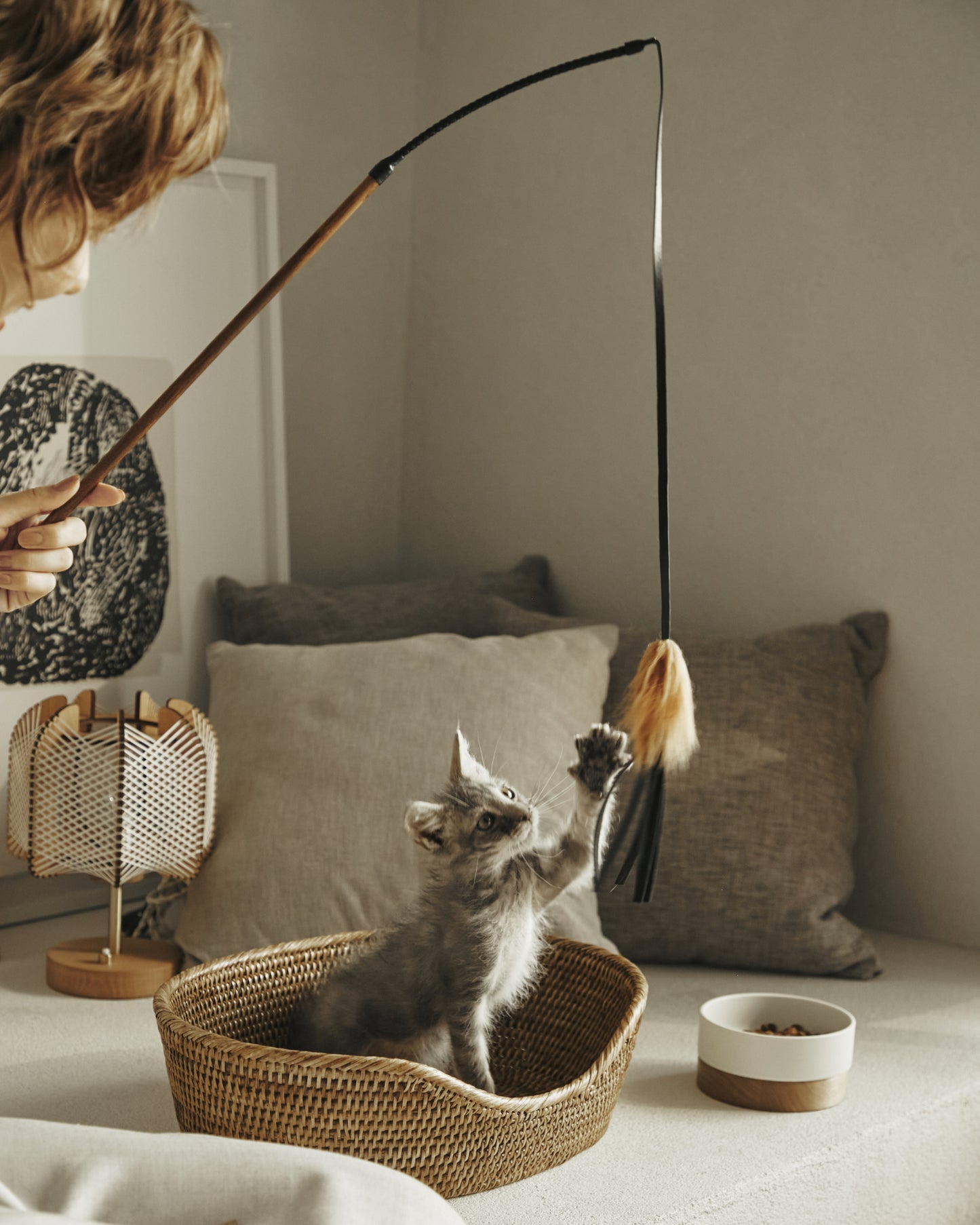 CAT BOUNCER
