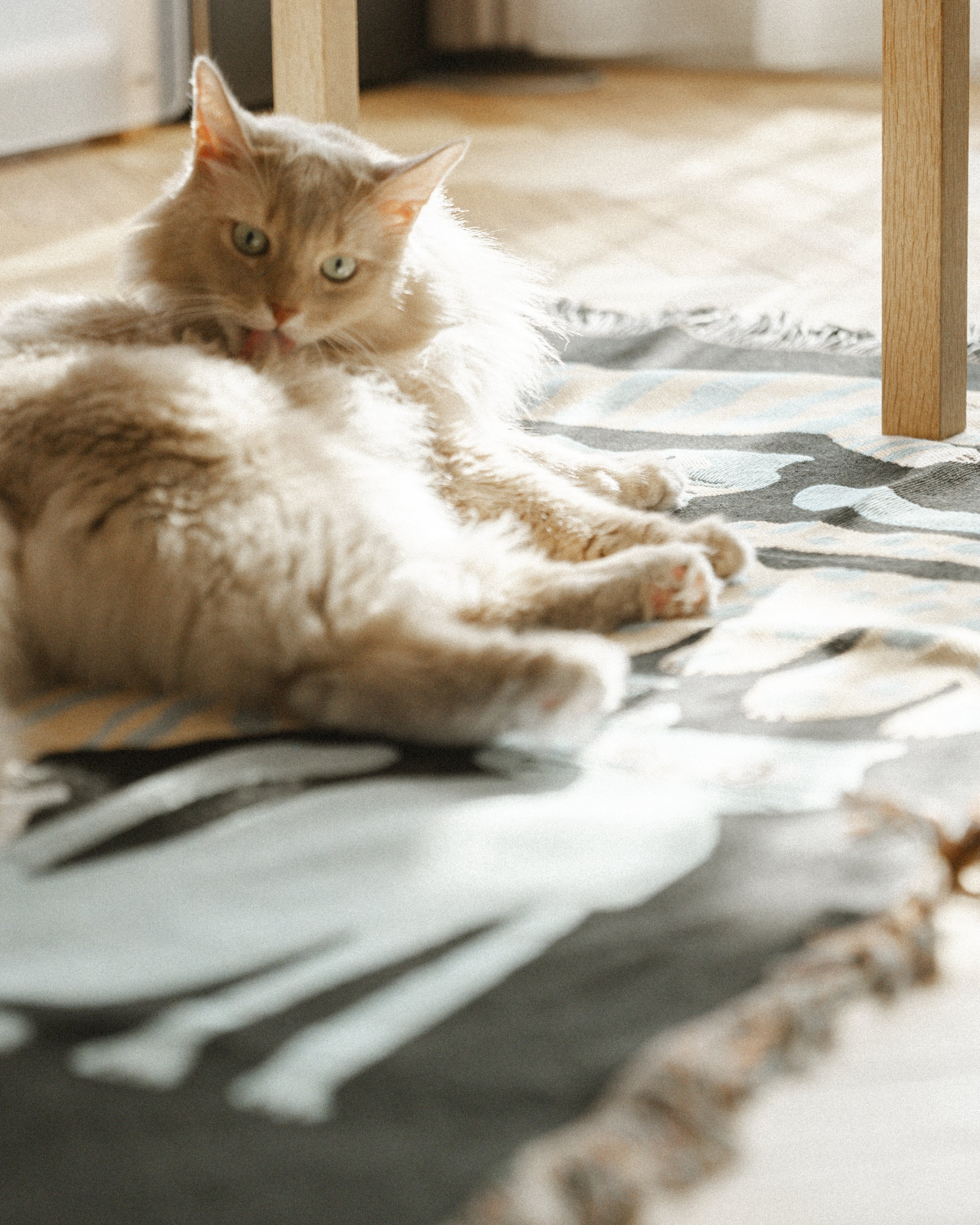 MULTI BLANKET “nekomoyou” | 坪井香保里の猫模様ブランケット。暮らし