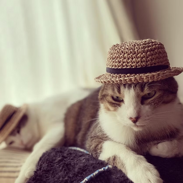 NEWAVE CAT HAIR BEANIE 猫耳 アームウォーマーセット 11-CIMG0138_1000x.jpg?v=1744629563