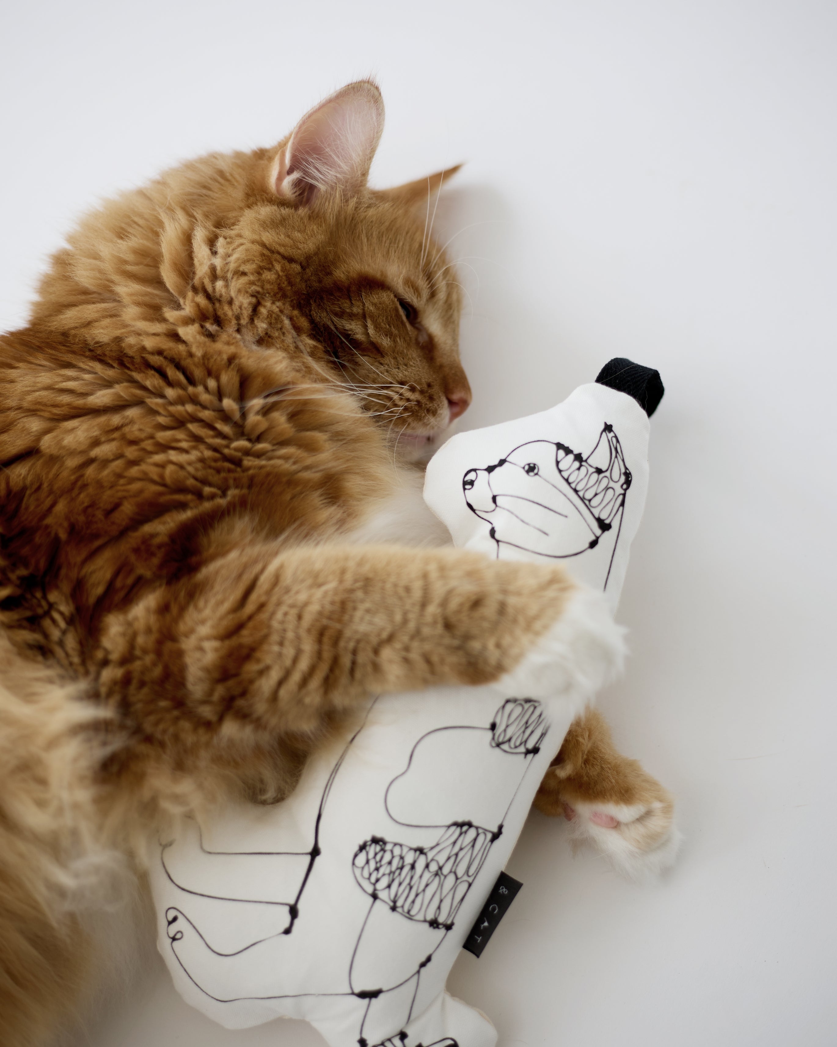 HAyU × &CAT 猫とアートが遊ぶケリケリ「KERI KERI」日本製おもちゃ