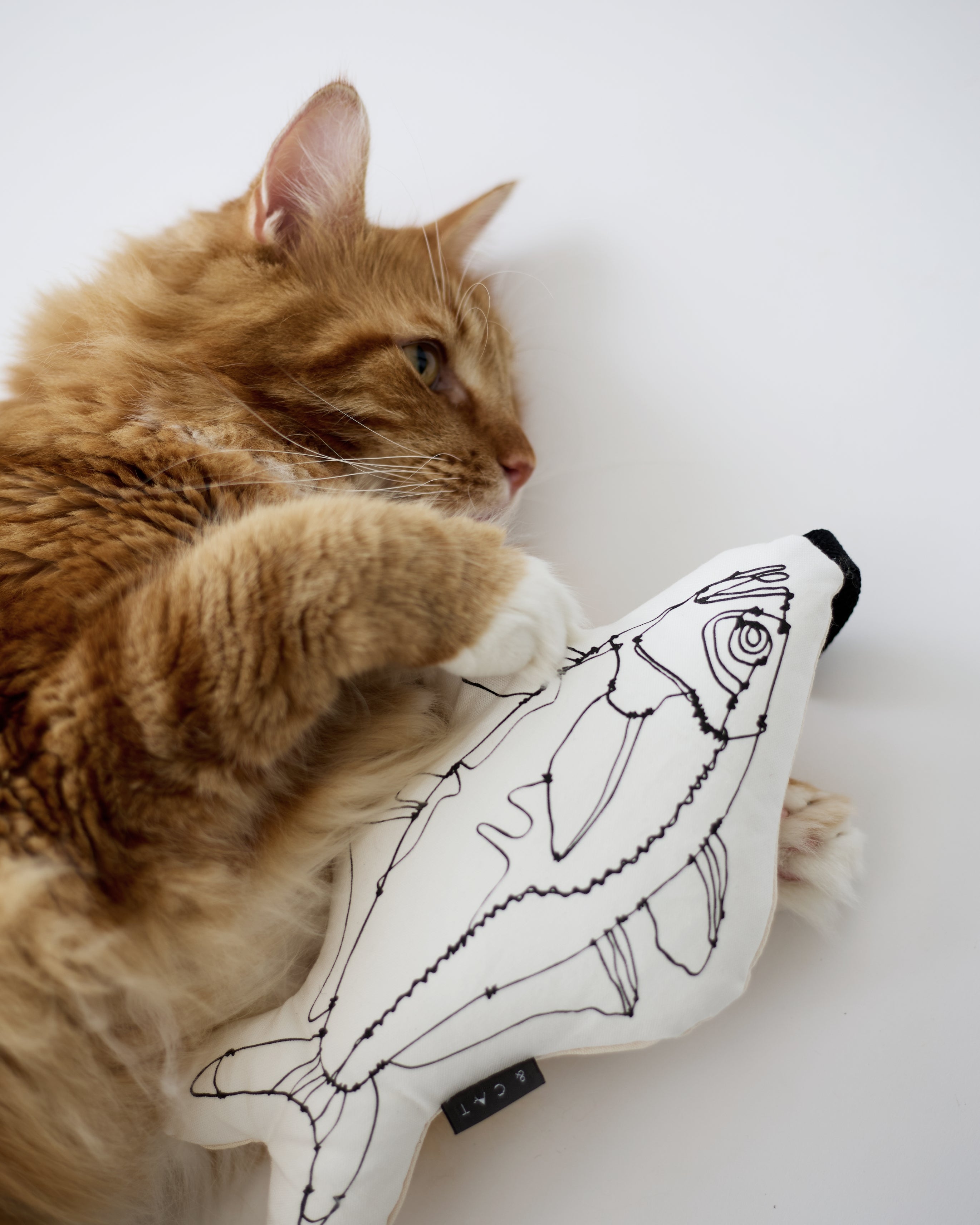 HAyU ワイヤーオブジェ ネコ　アクリルケース付き デルフォニックス A5 クリアホルダー ワイヤーアート 猫 HAyU