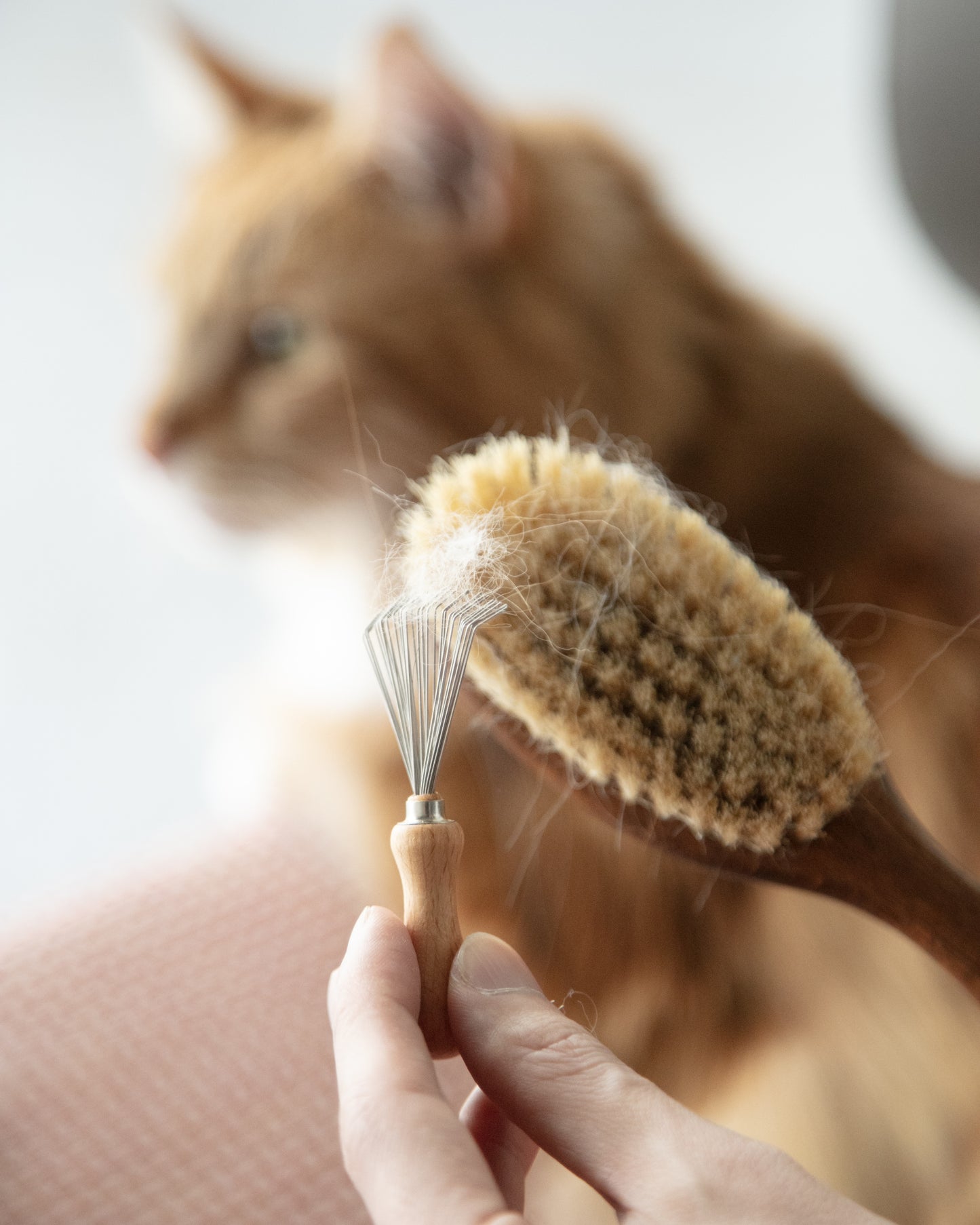 CAT BRUSH（Cleaner Set）