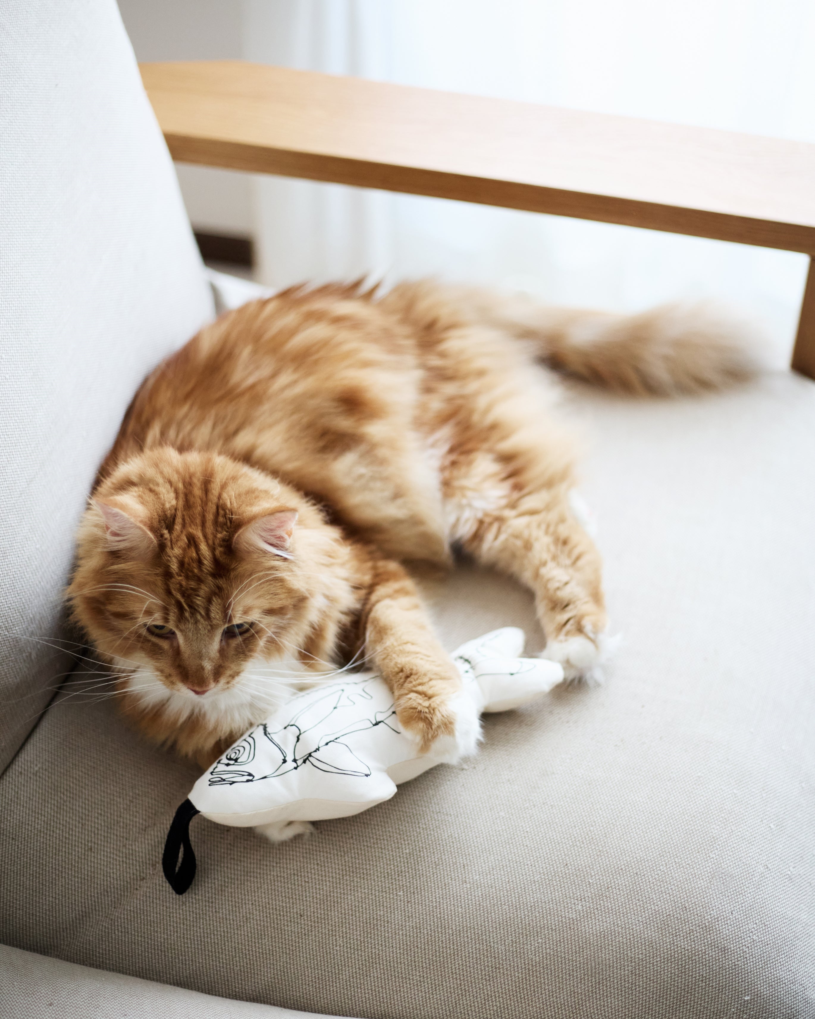 HAyU × &CAT 猫とアートが遊ぶケリケリ「KERI KERI」日本製おもちゃ