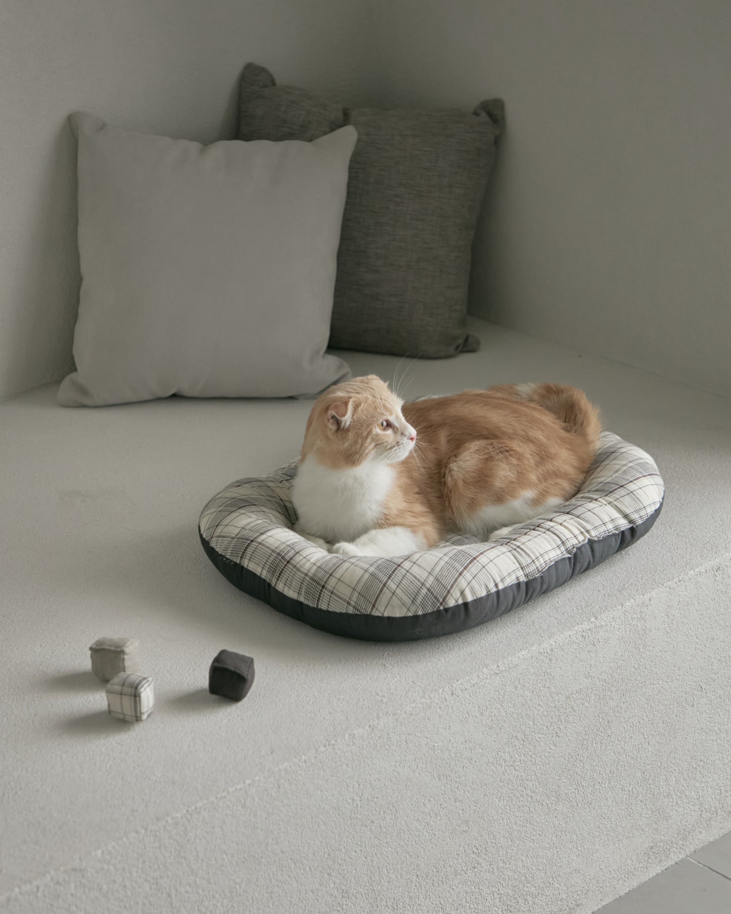 FABRIC BED【&CAT別注】