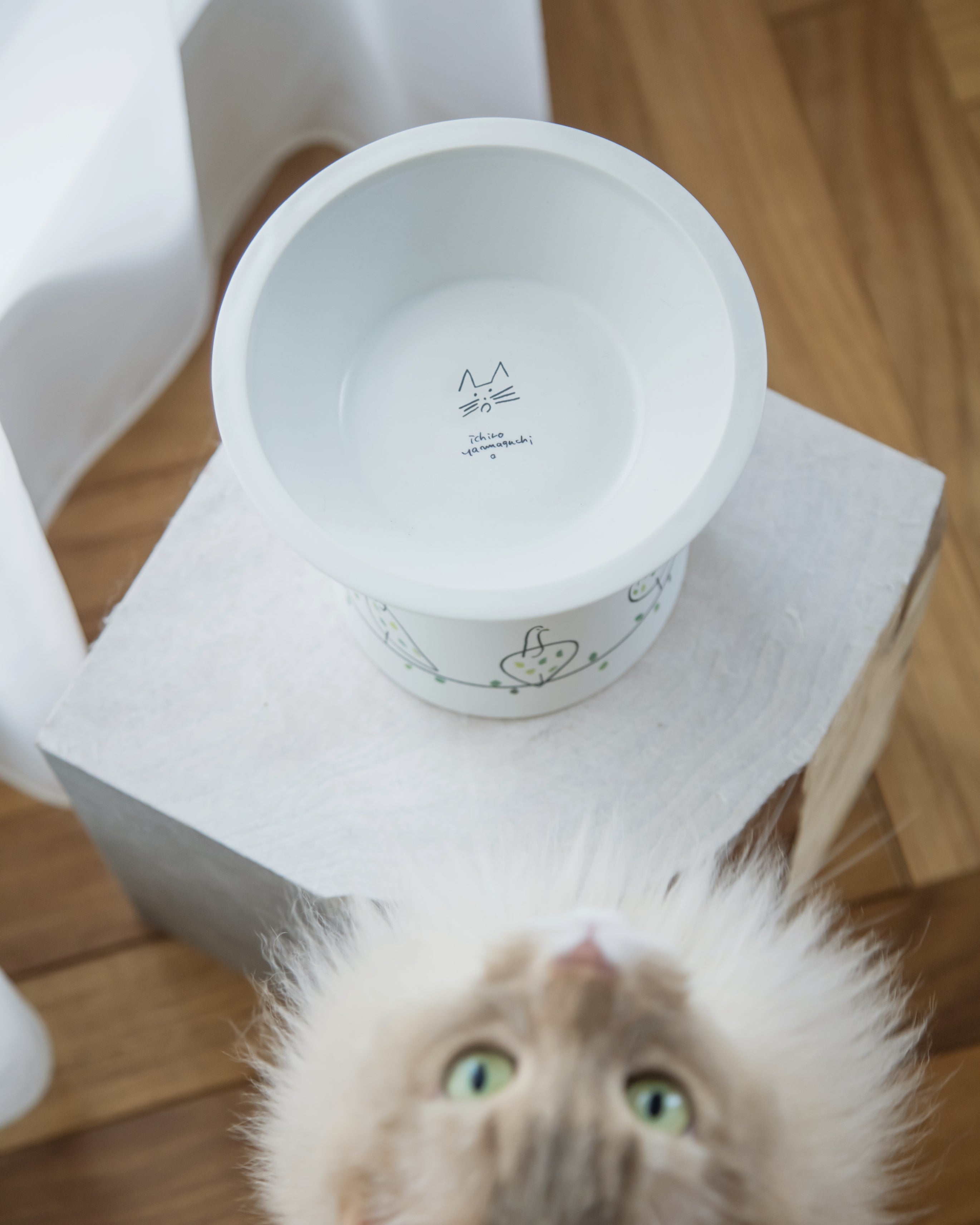 山口一郎 / food bowl | 猫とアートが出会う、美濃焼のフード