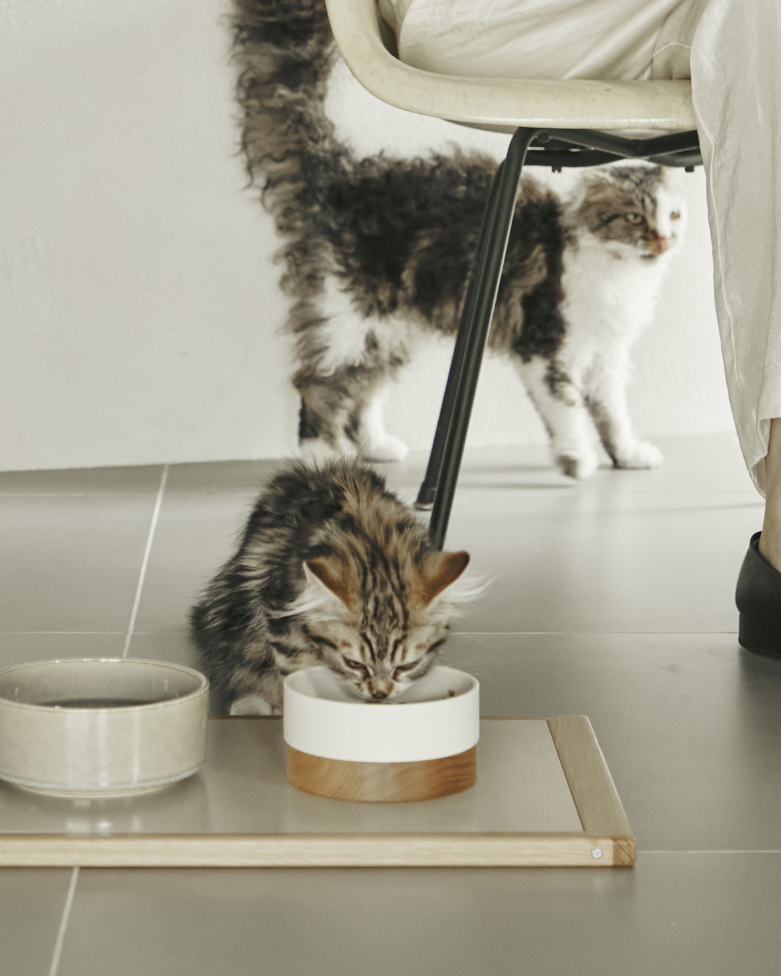 CHATON BOWL