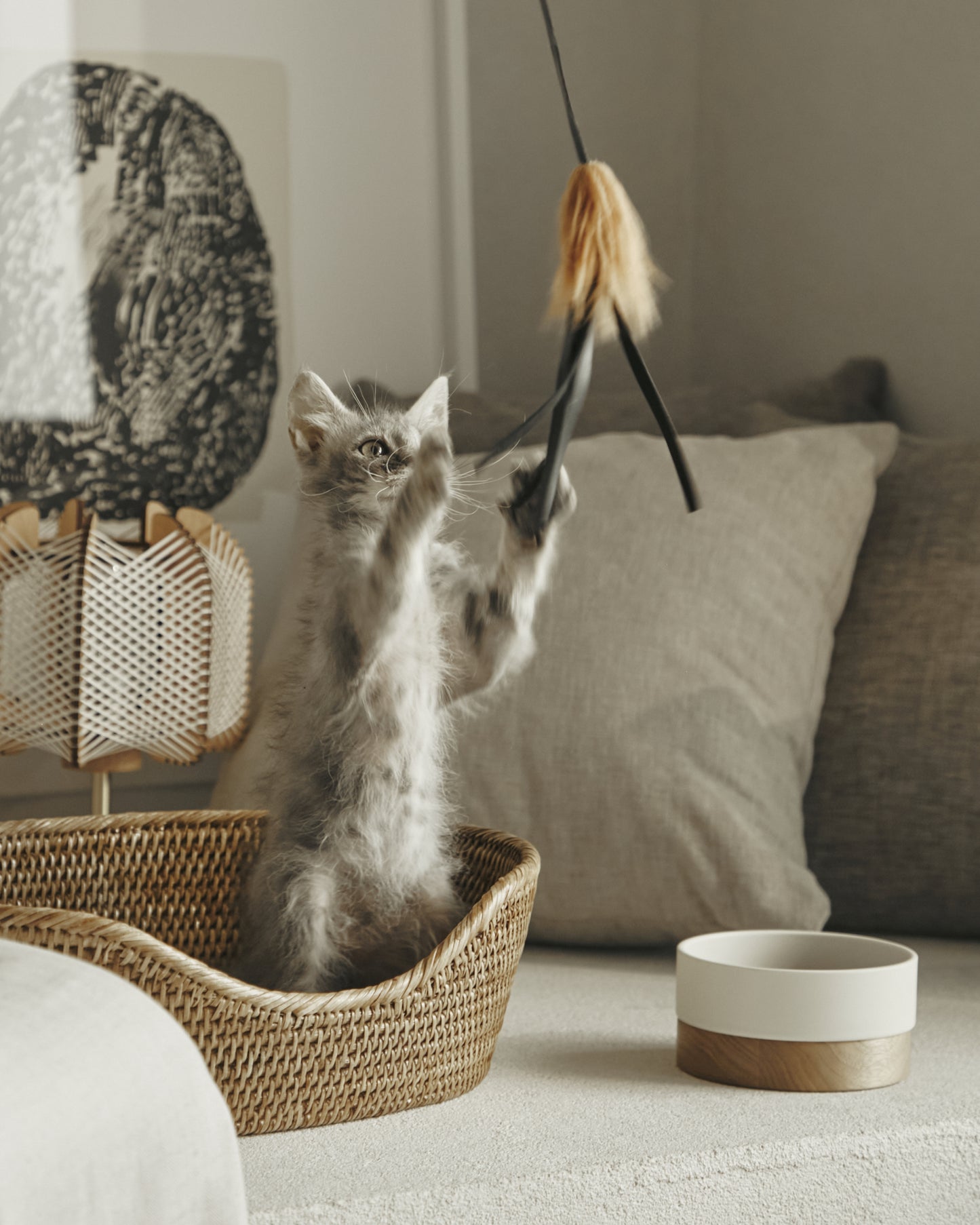 CHATON BOWL