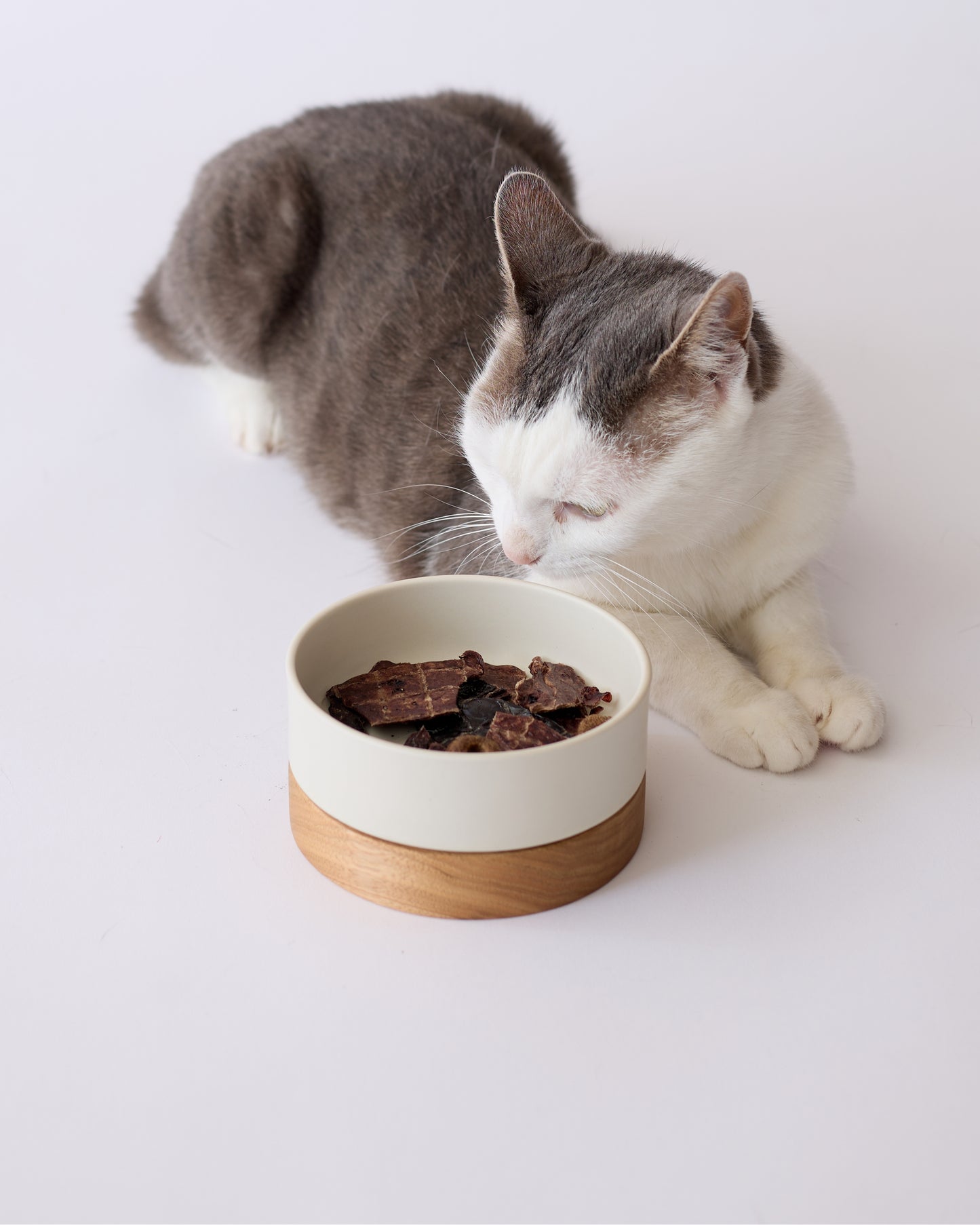 CHATON BOWL