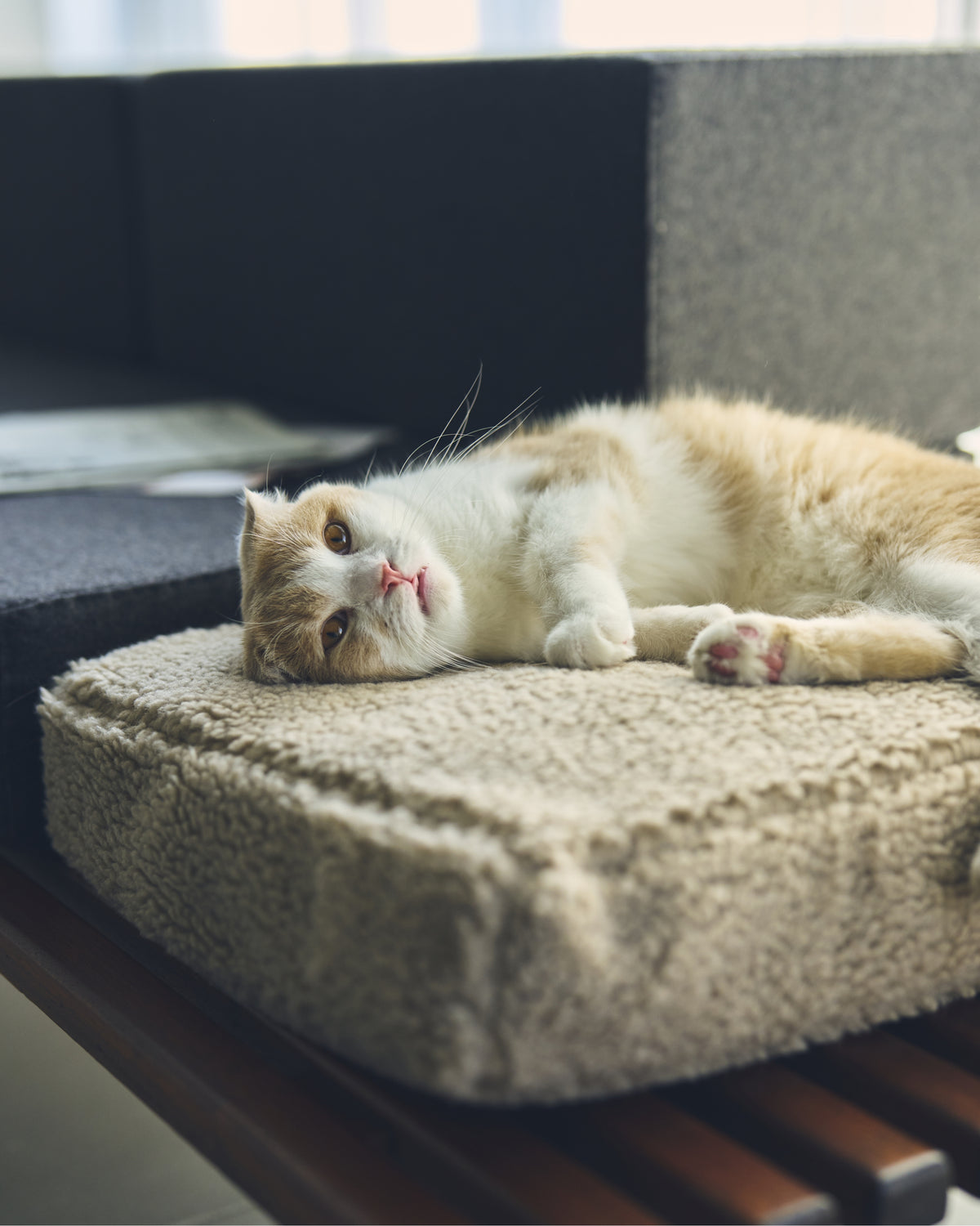 DAYBED CUSHION