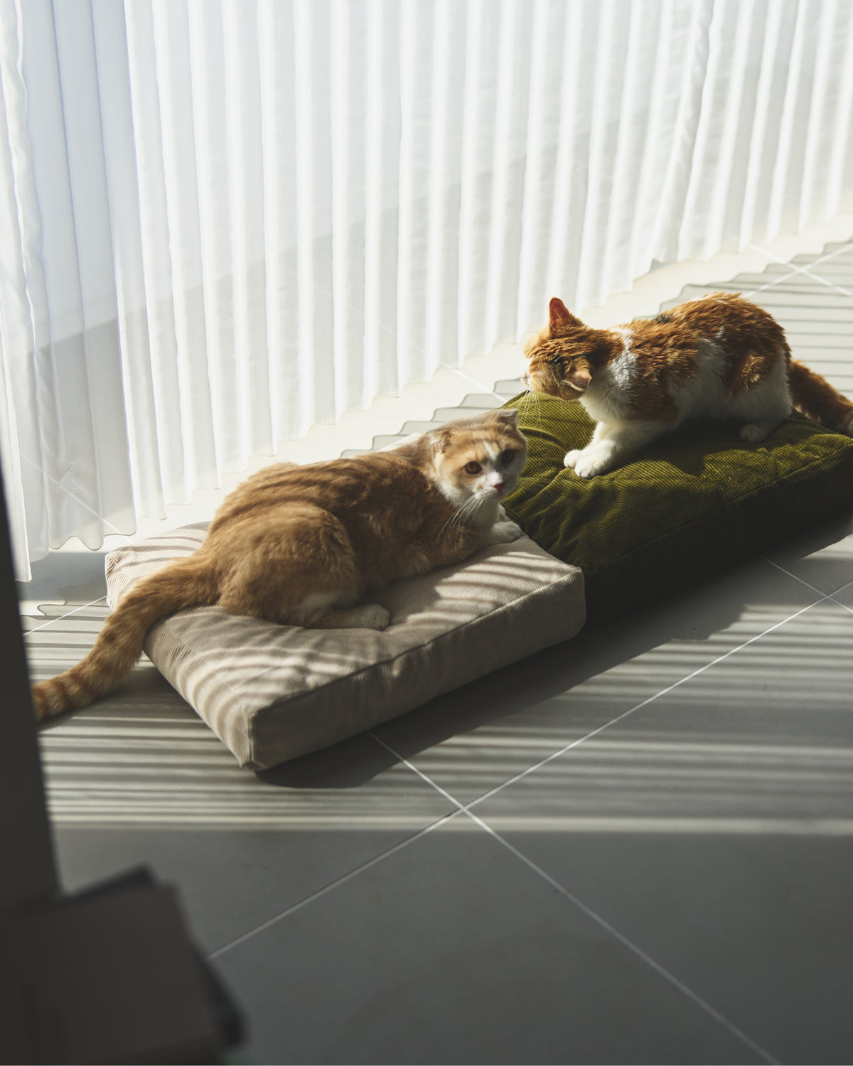 DAYBED CUSHION