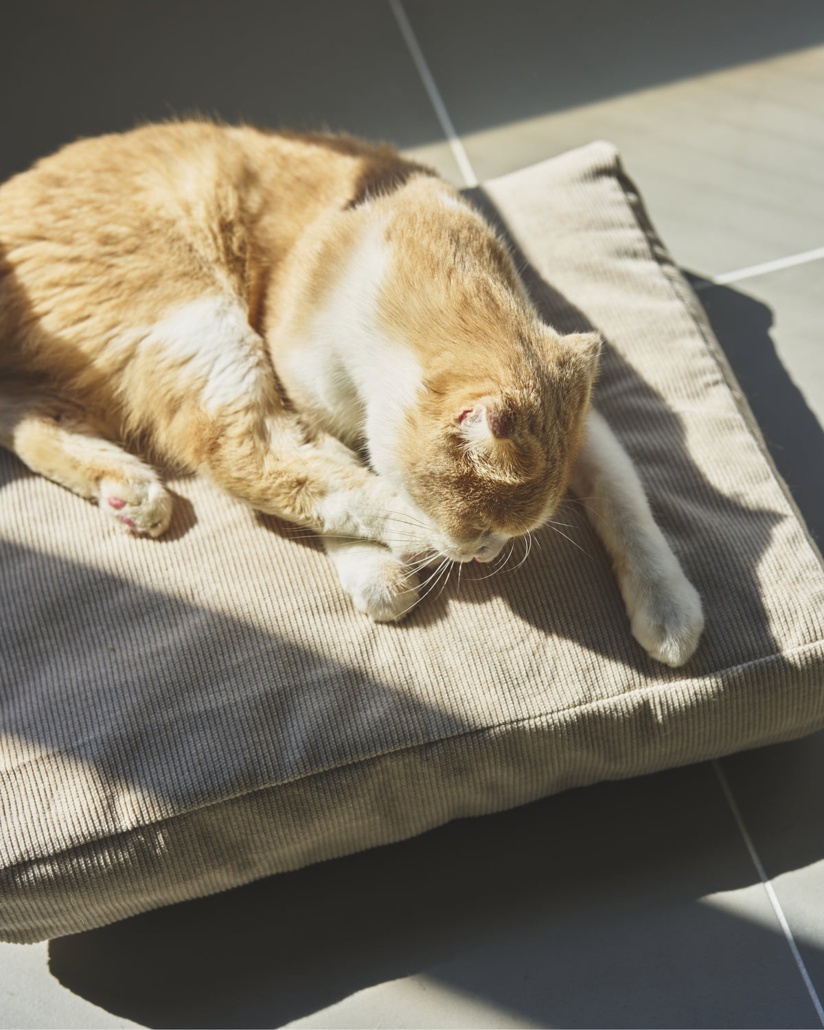 DAYBED CUSHION
