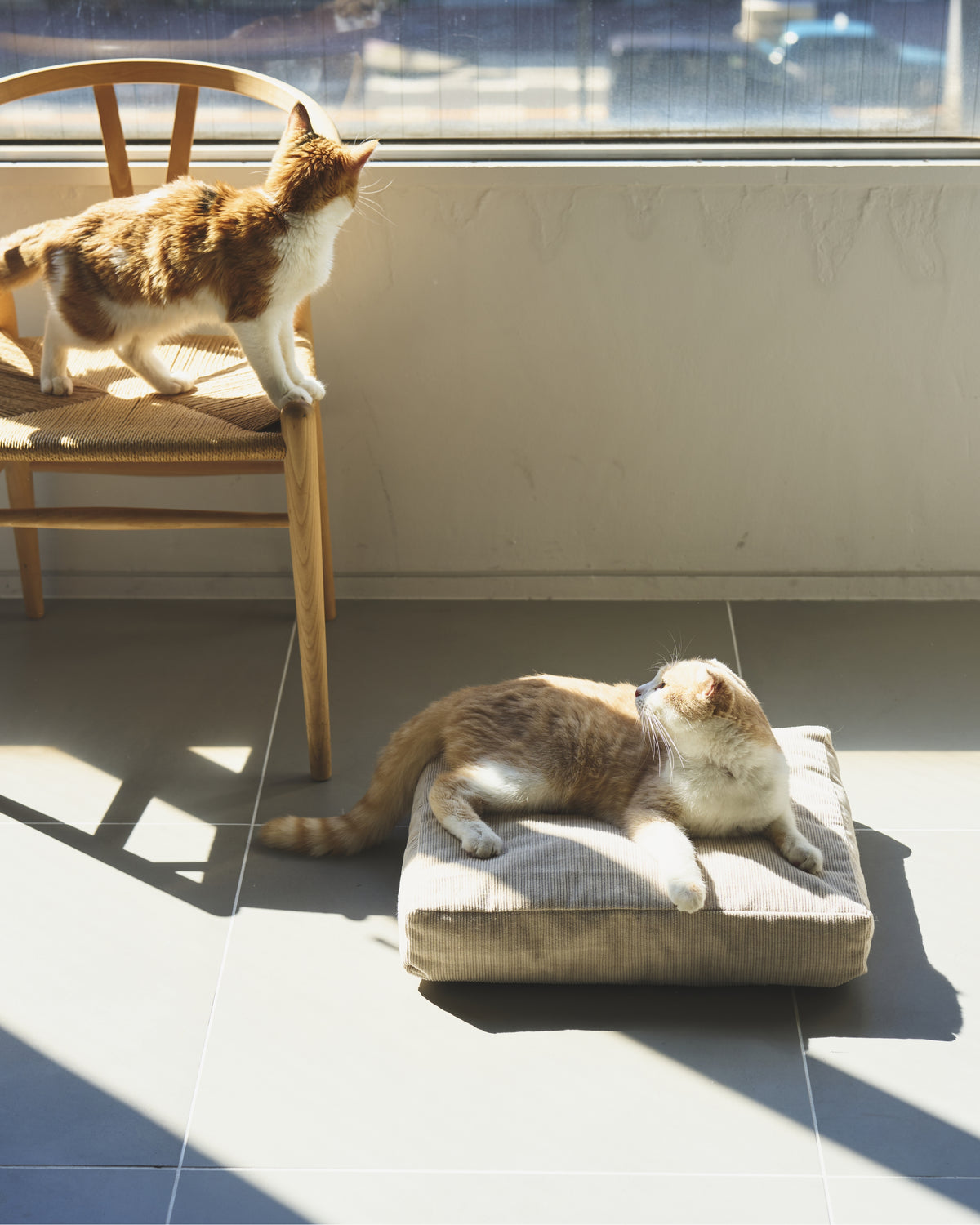 DAYBED CUSHION
