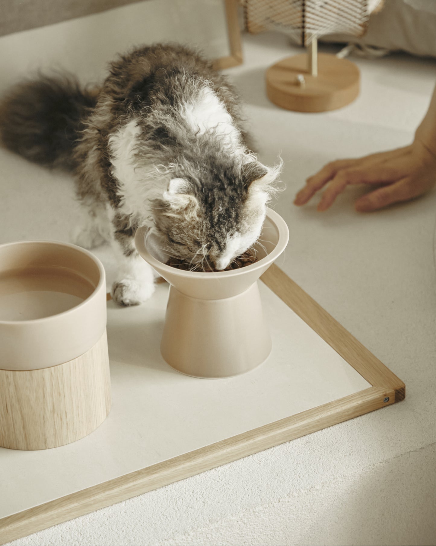 FIKA