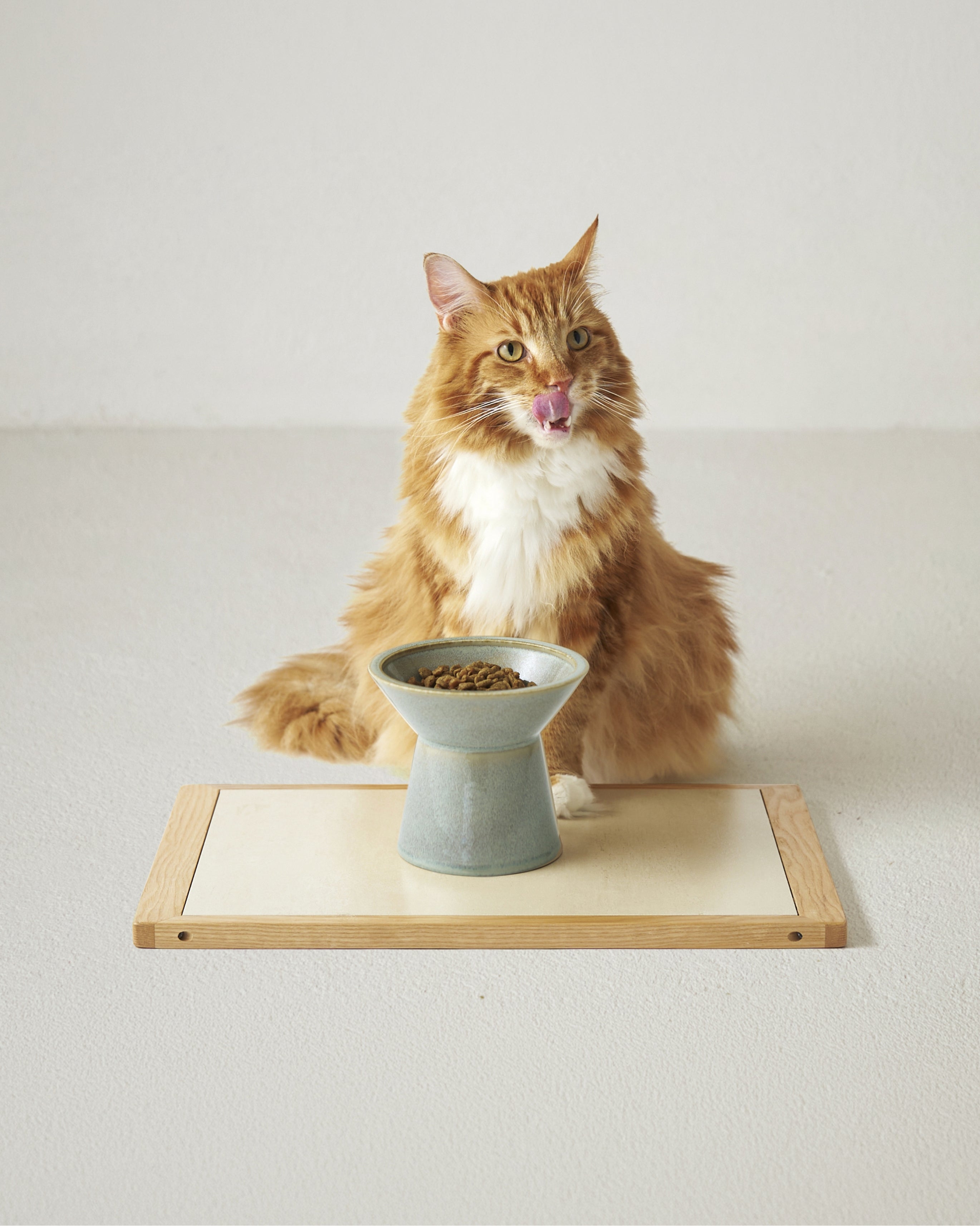 FIKA & CHALICE（浅葱）SET