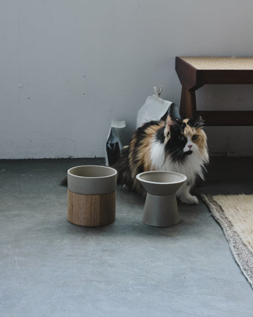 FOOD & WATER BOWL SET | フードボウルセット。国産でおしゃれな猫用 