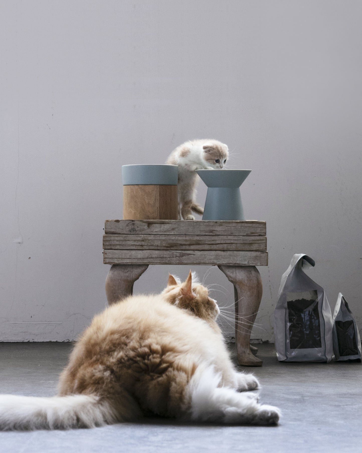 FOOD & WATER BOWL SET