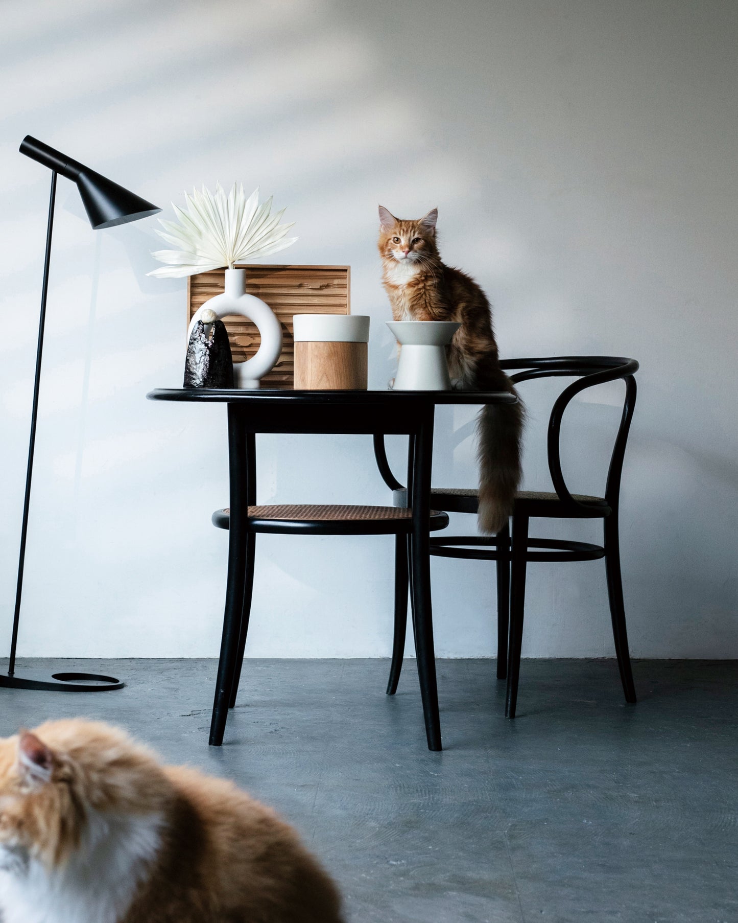 FOOD & WATER BOWL SET