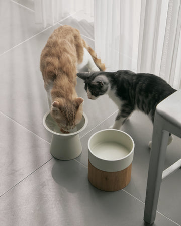FOOD & WATER BOWL SET | フードボウルセット。国産でおしゃれな猫用 