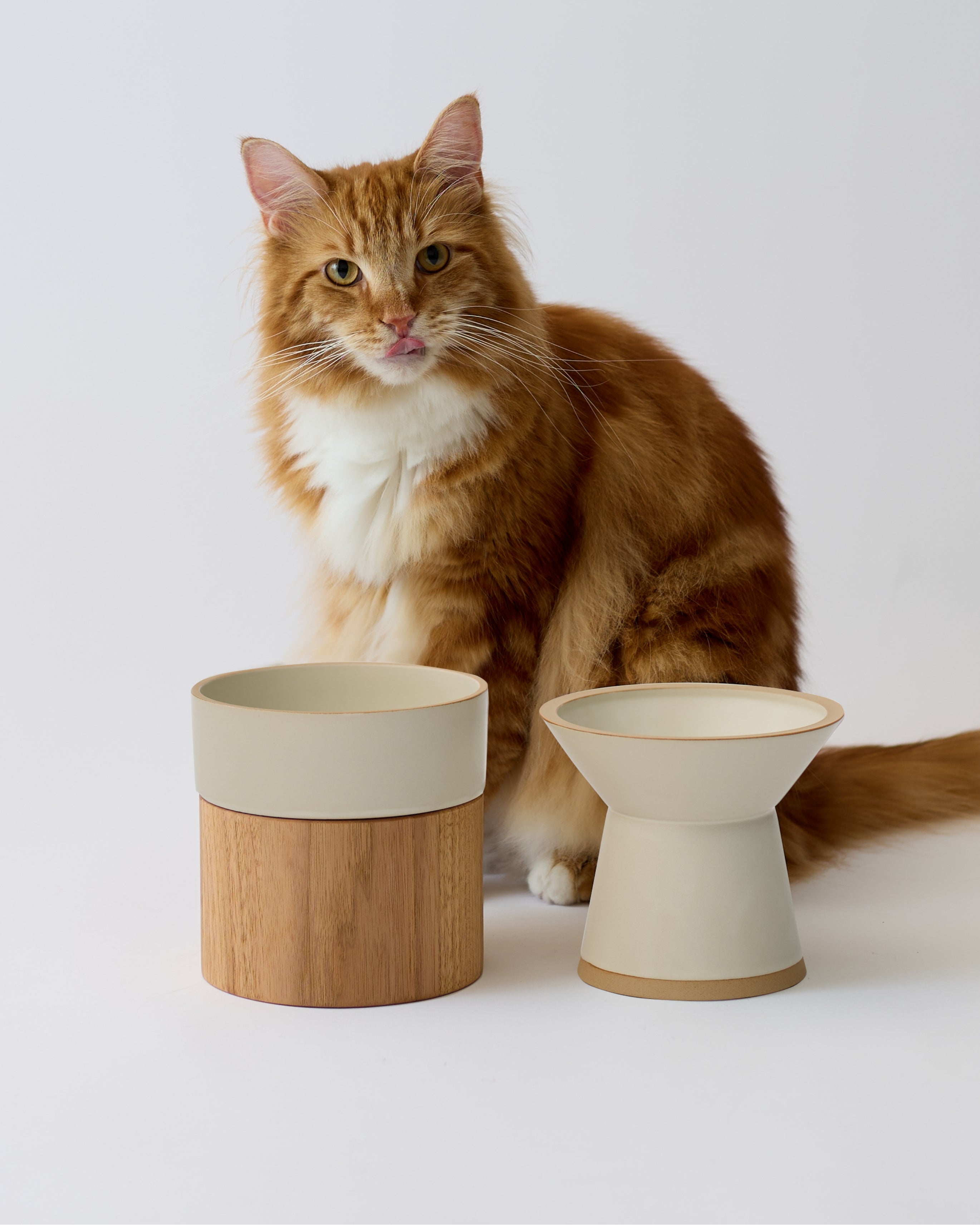 FOOD & WATER BOWL SET | フードボウルセット。国産でおしゃれな猫用