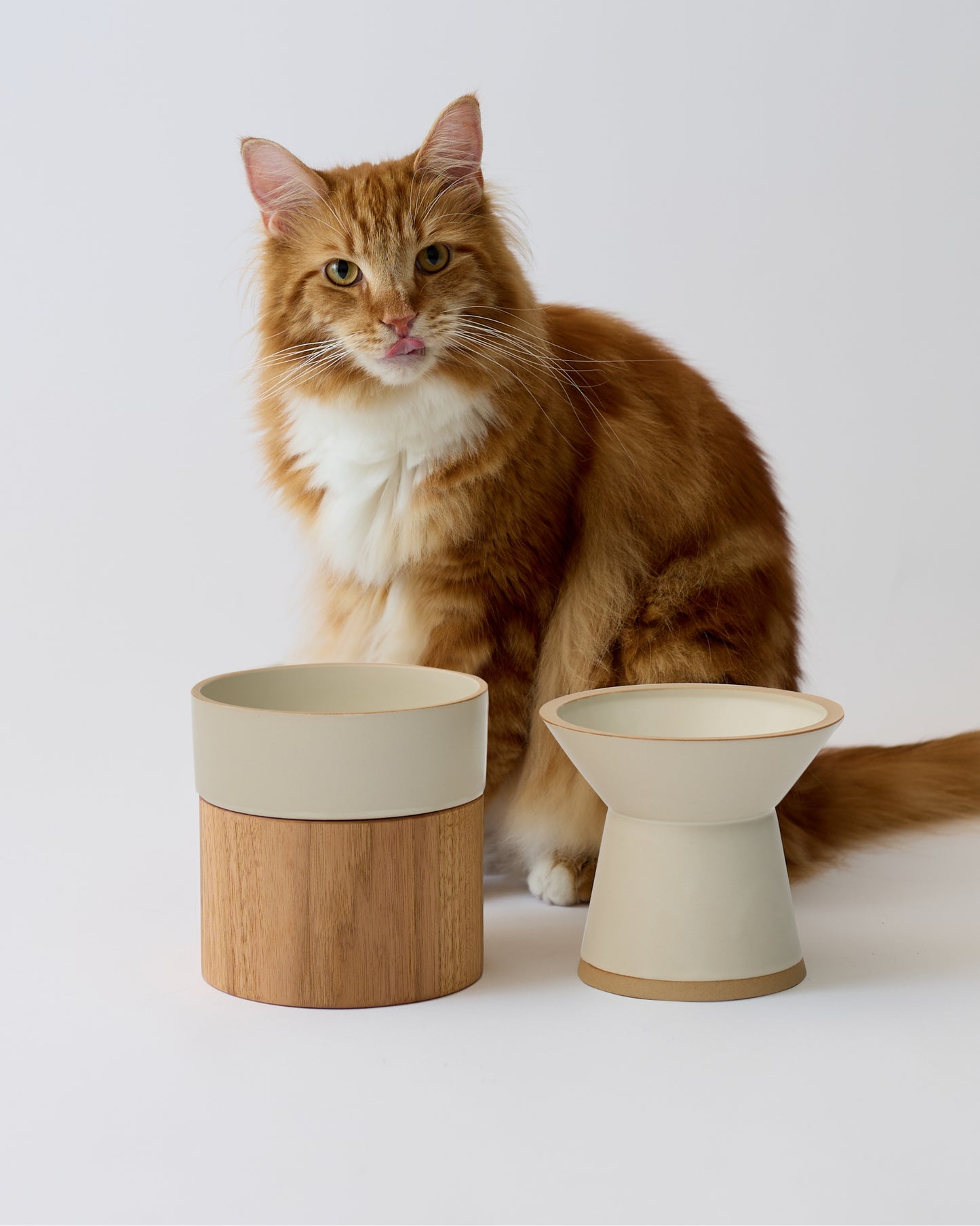 FOOD & WATER BOWL SET